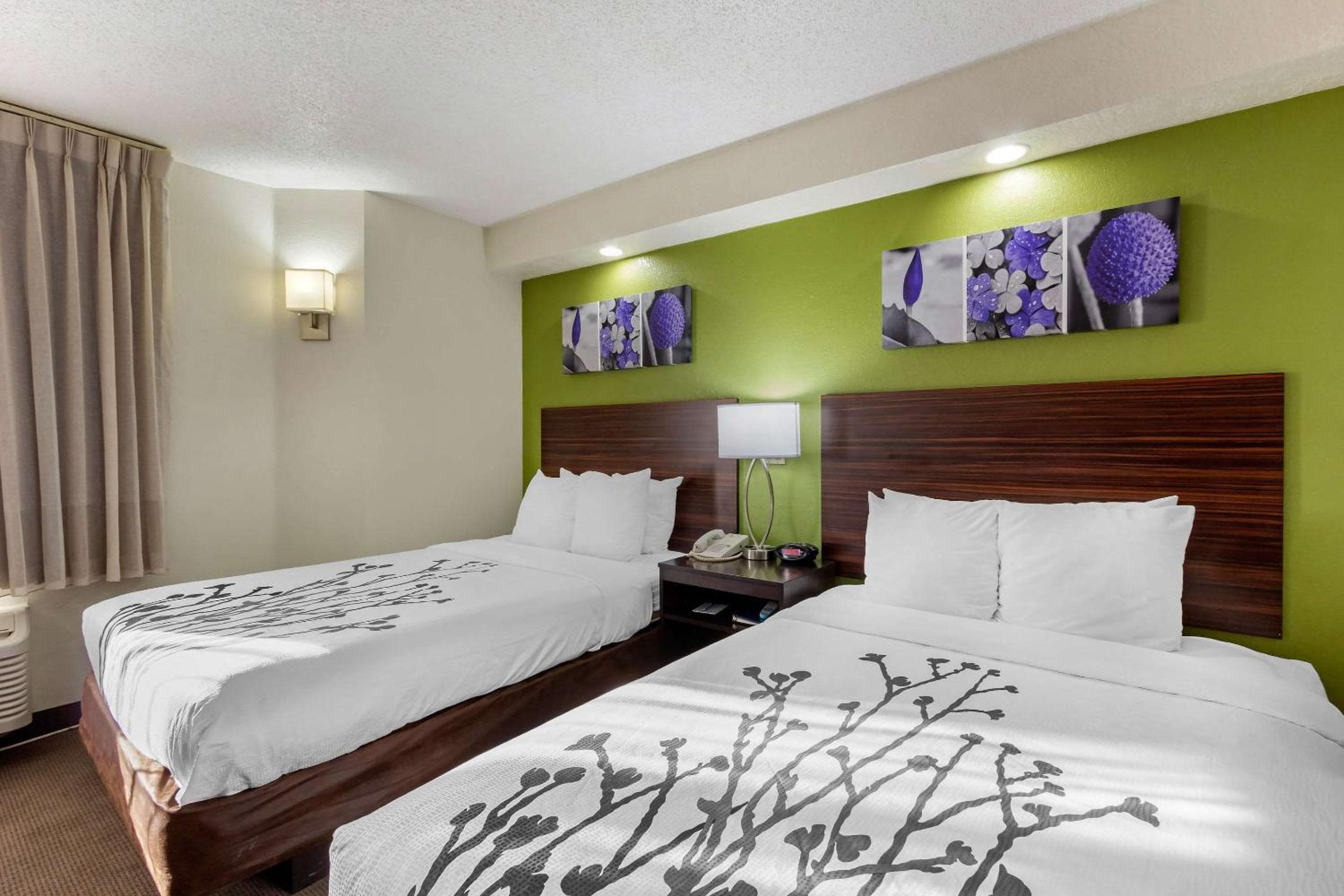 Sleep Inn in der Nähe von Busch Gardens – USF — 9