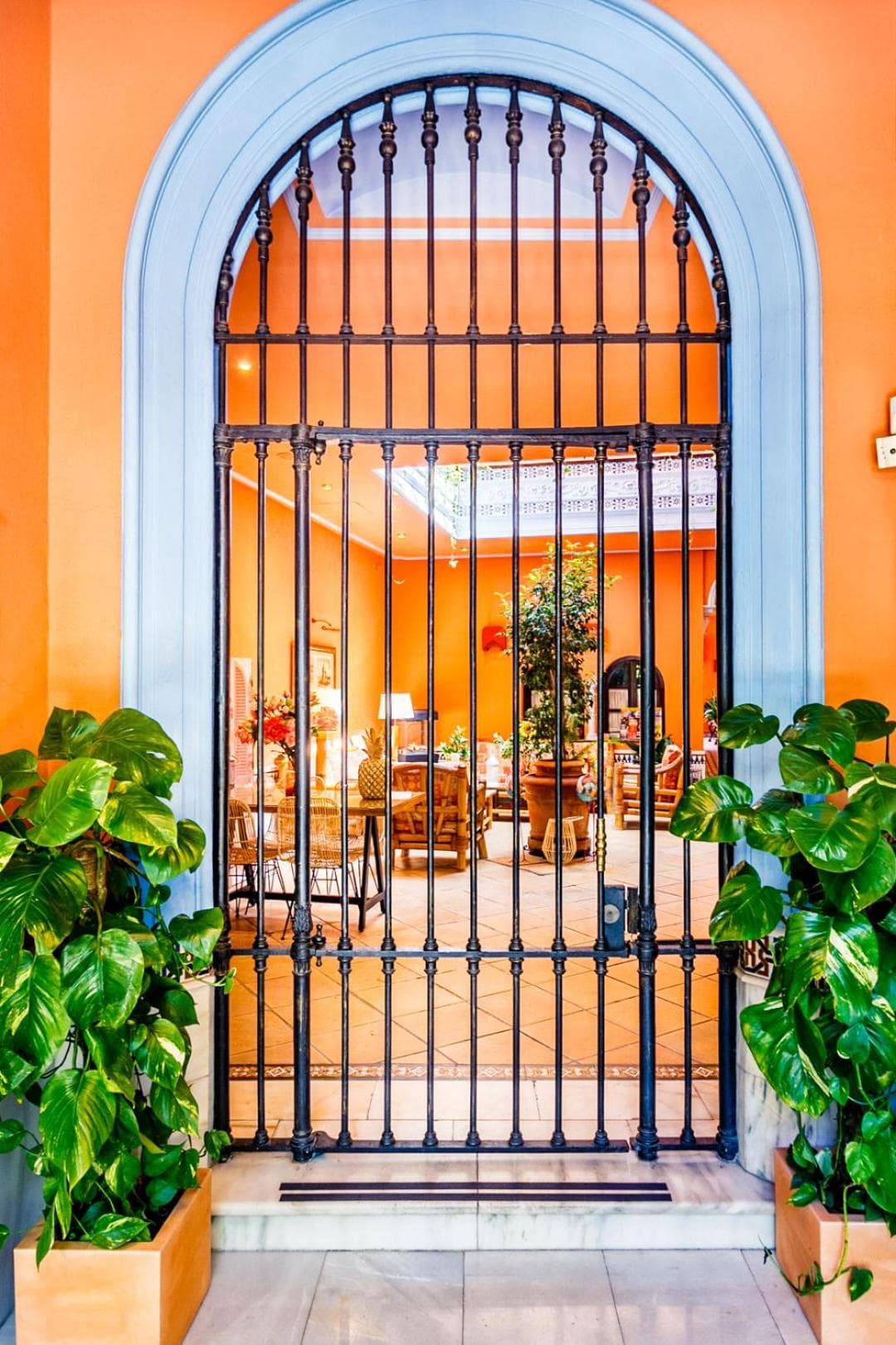 Patio de La Alameda — 15