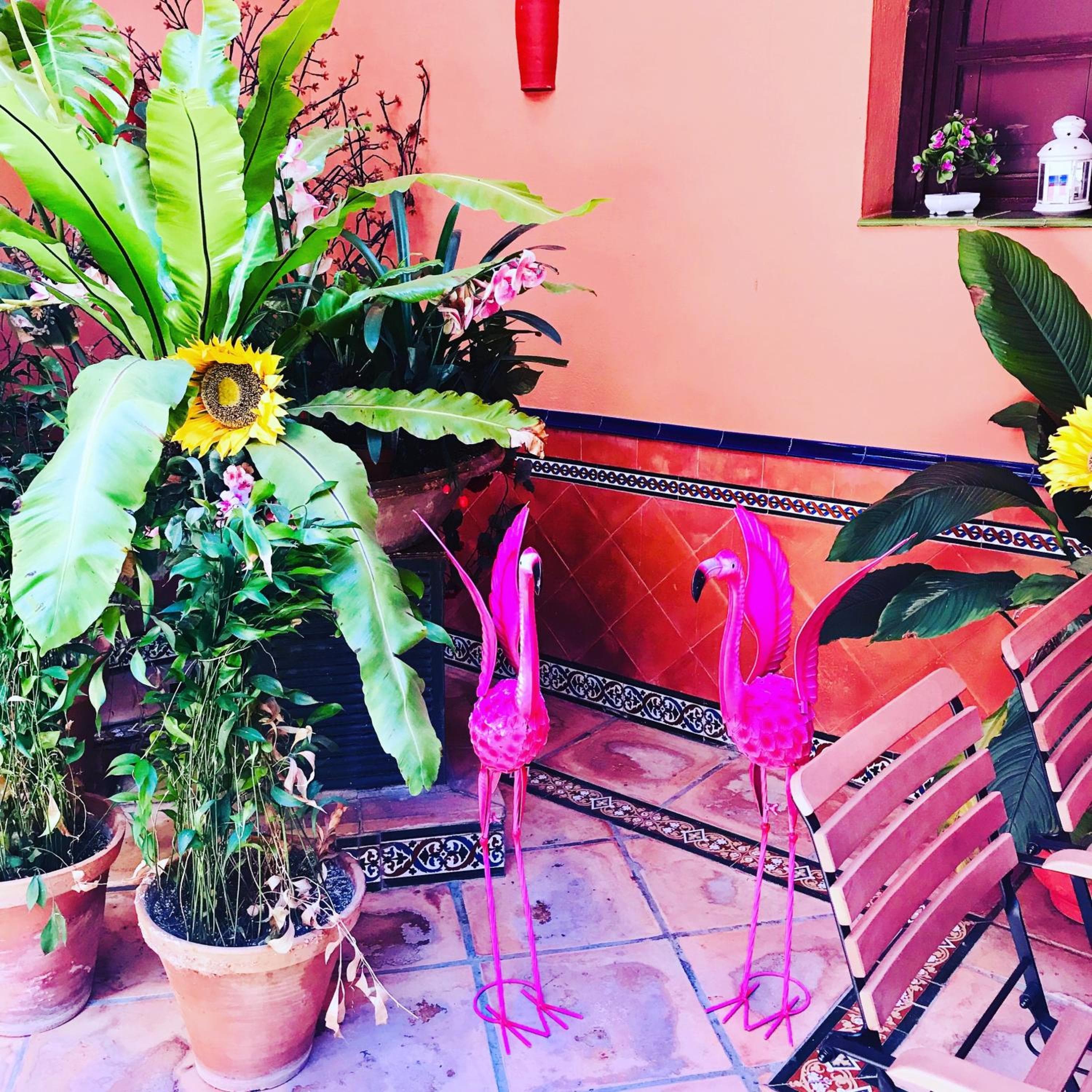 Patio de La Alameda — 6