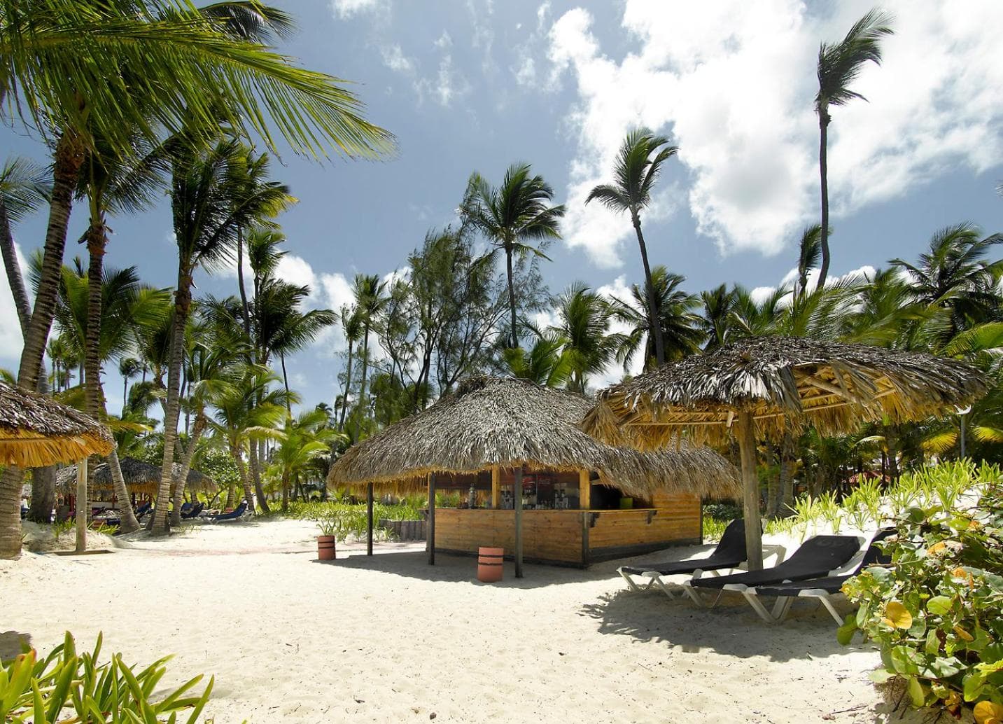 Grand Palladium Punta Cana Resort & Spa - Todo Incluido — 22