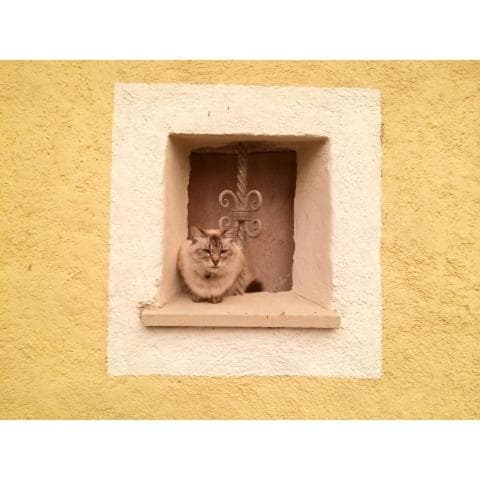 Casita Neptuno — 19