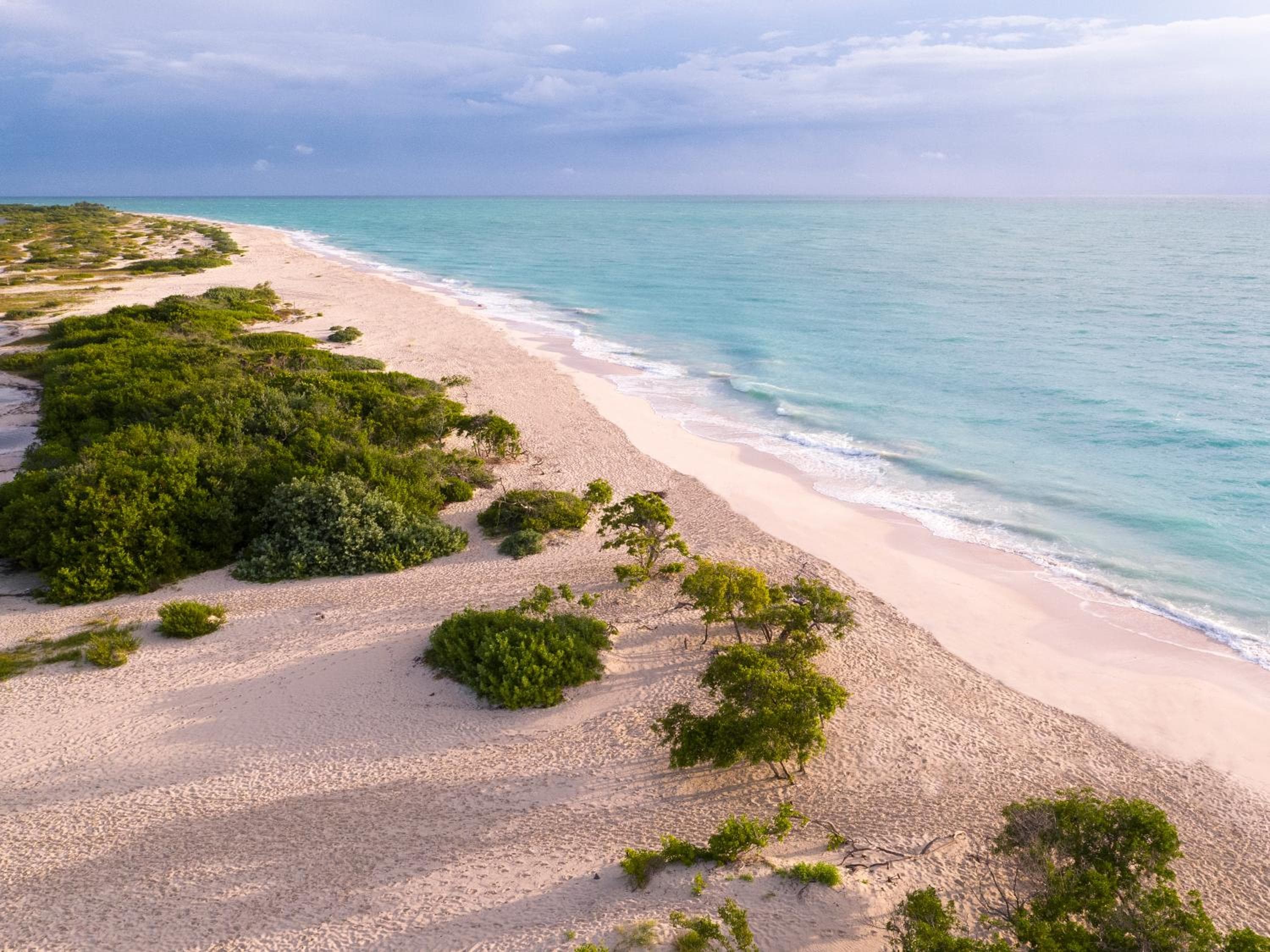TRS Coral Hotel - Adults Only - All Inclusive hotel, Vialidad Paseo Mujeres, Cancún, Mexico — photo 8
