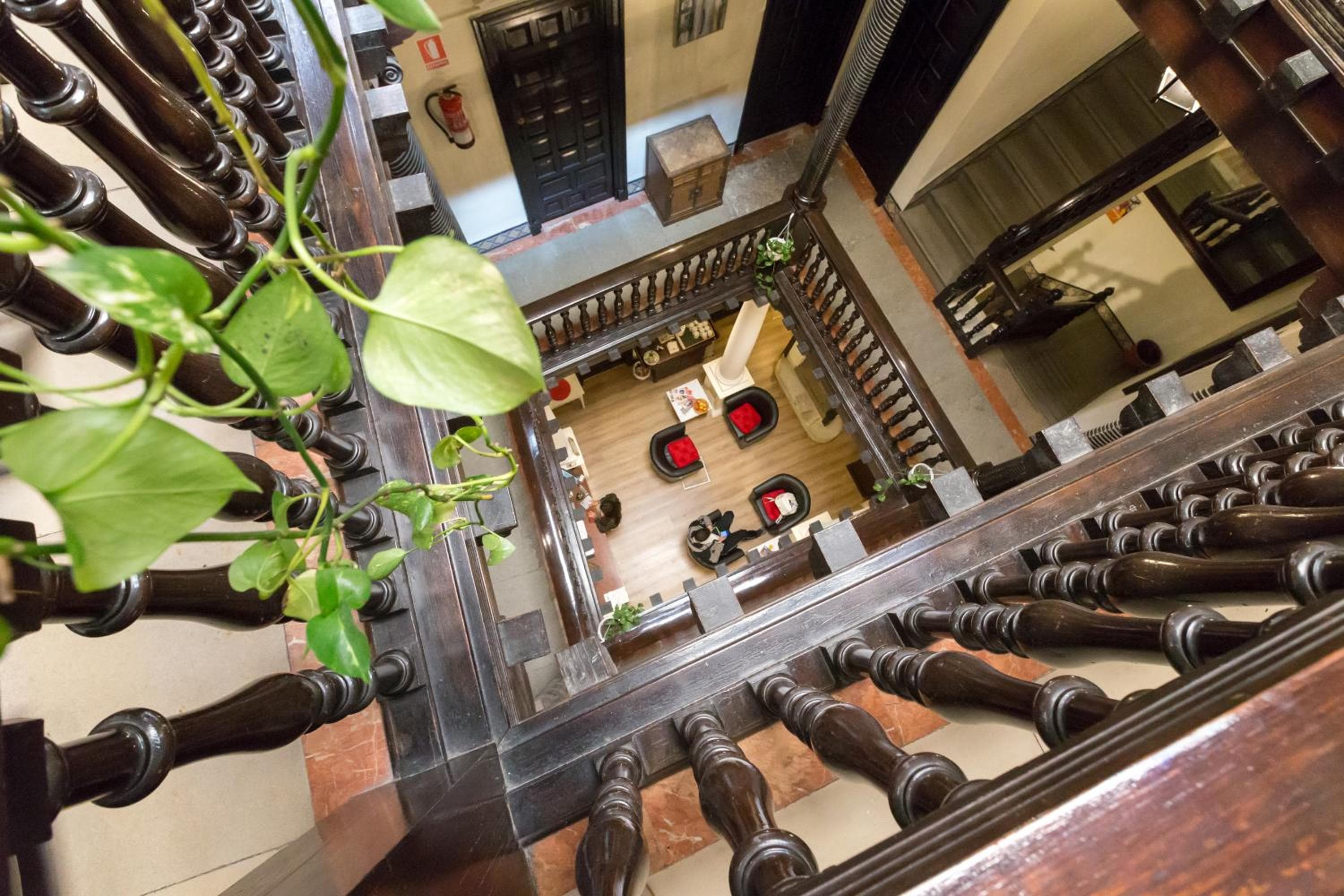 Hotel Nuevo Suizo — 4