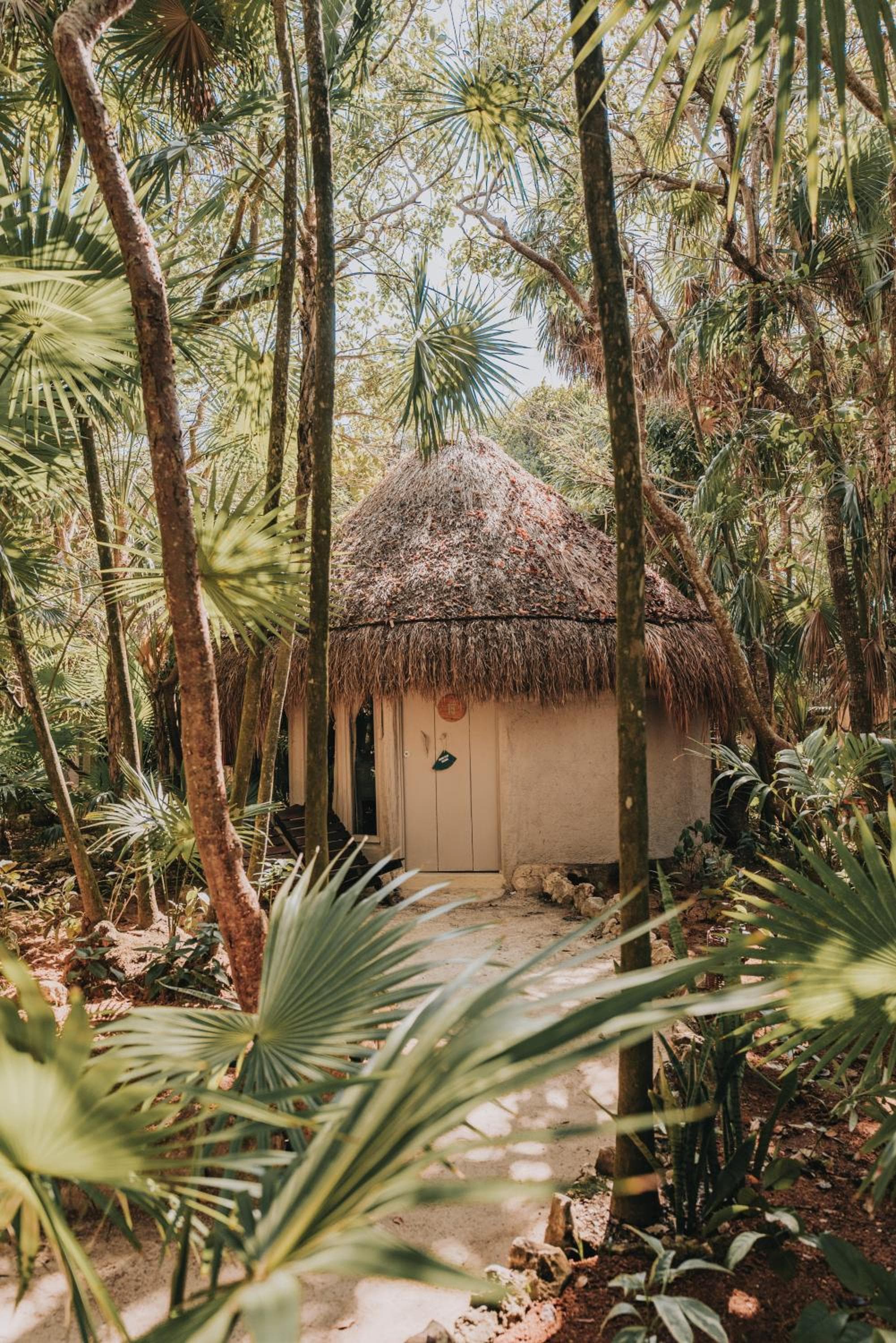 Progetto Papaya Playa — 25