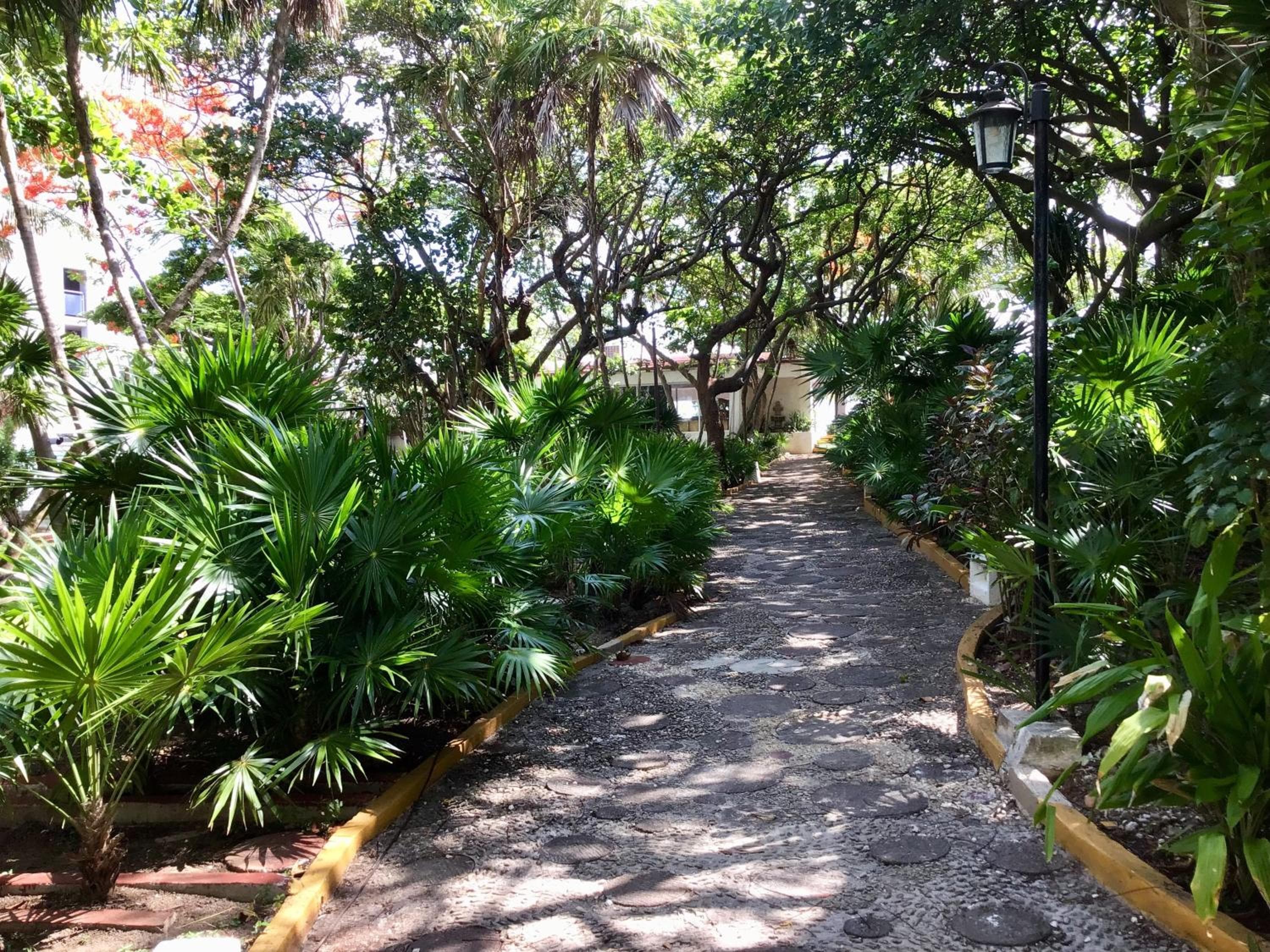 Hotel Maya Caribe Faranda Cancún — 15