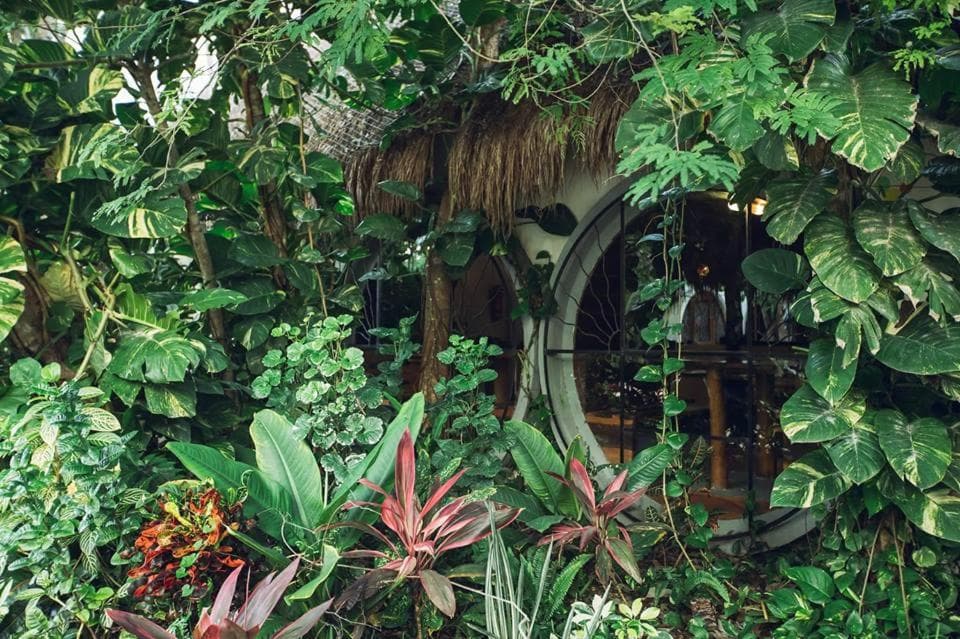 Tubo Tulum Hostel — 22