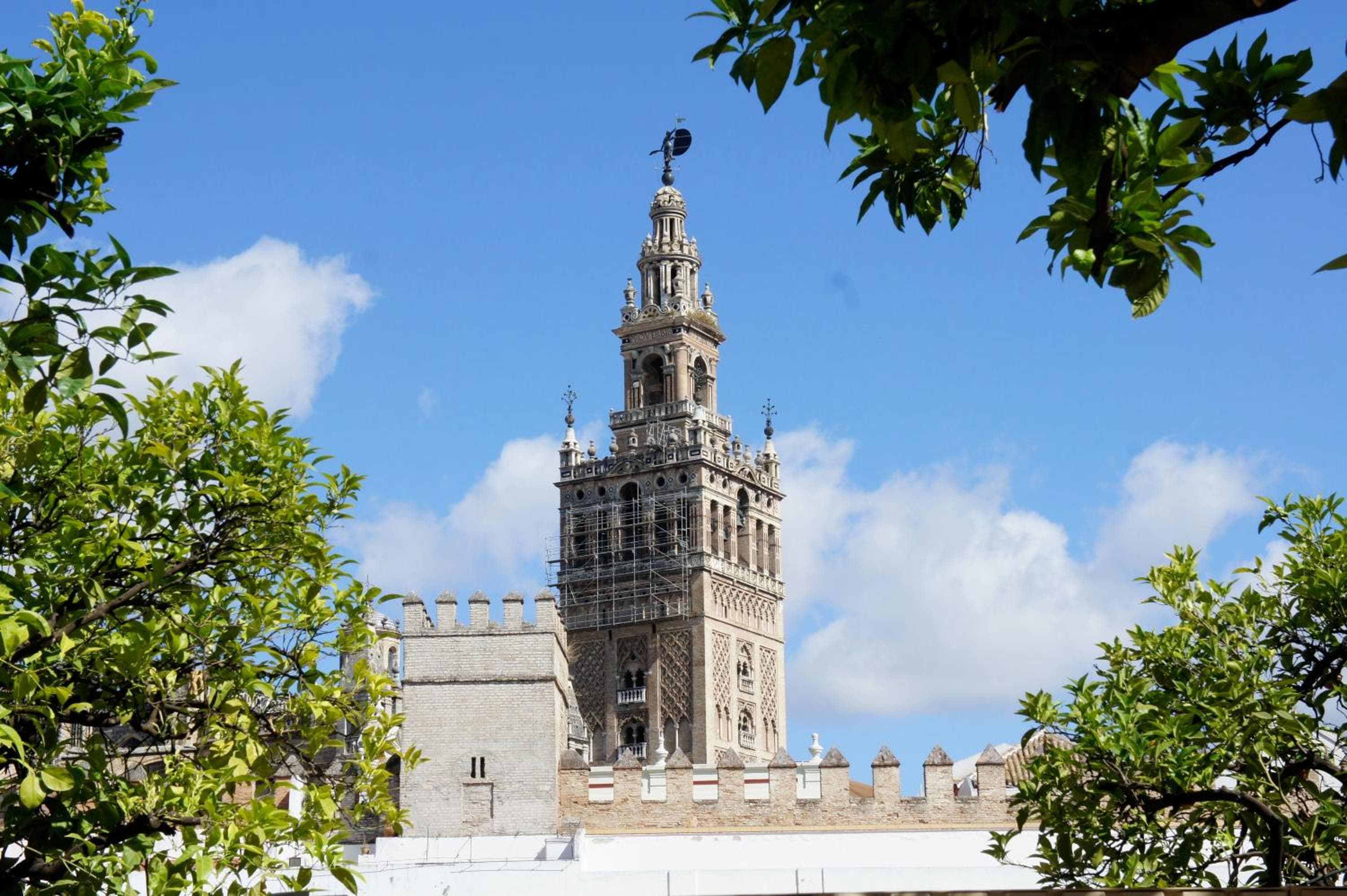 Pension Perez Montilla — 3