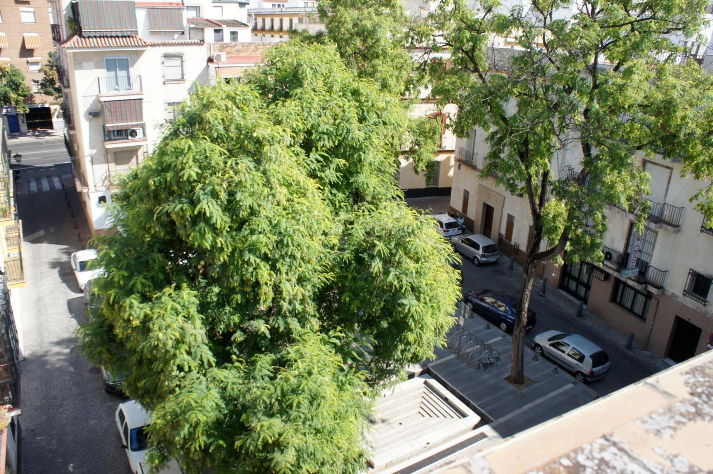 Pension Perez Montilla — 8