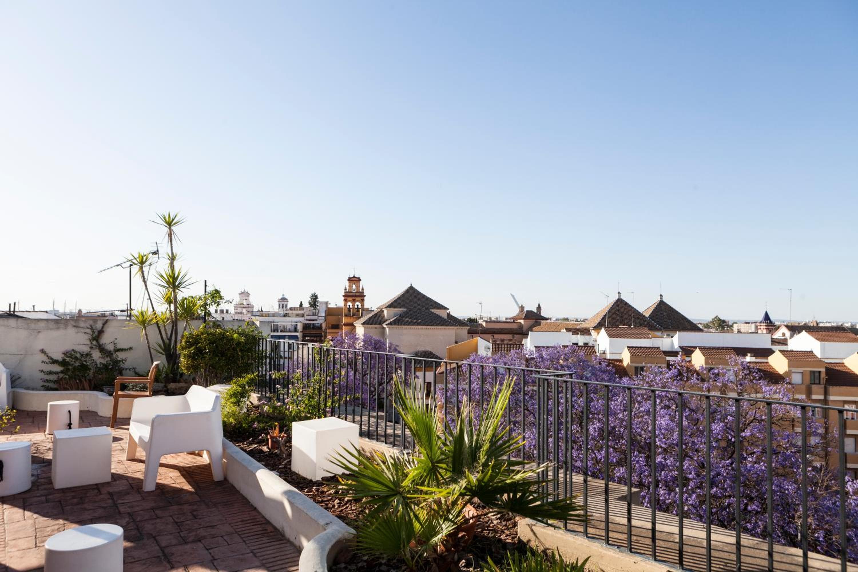 Hotel Don Paco — 16