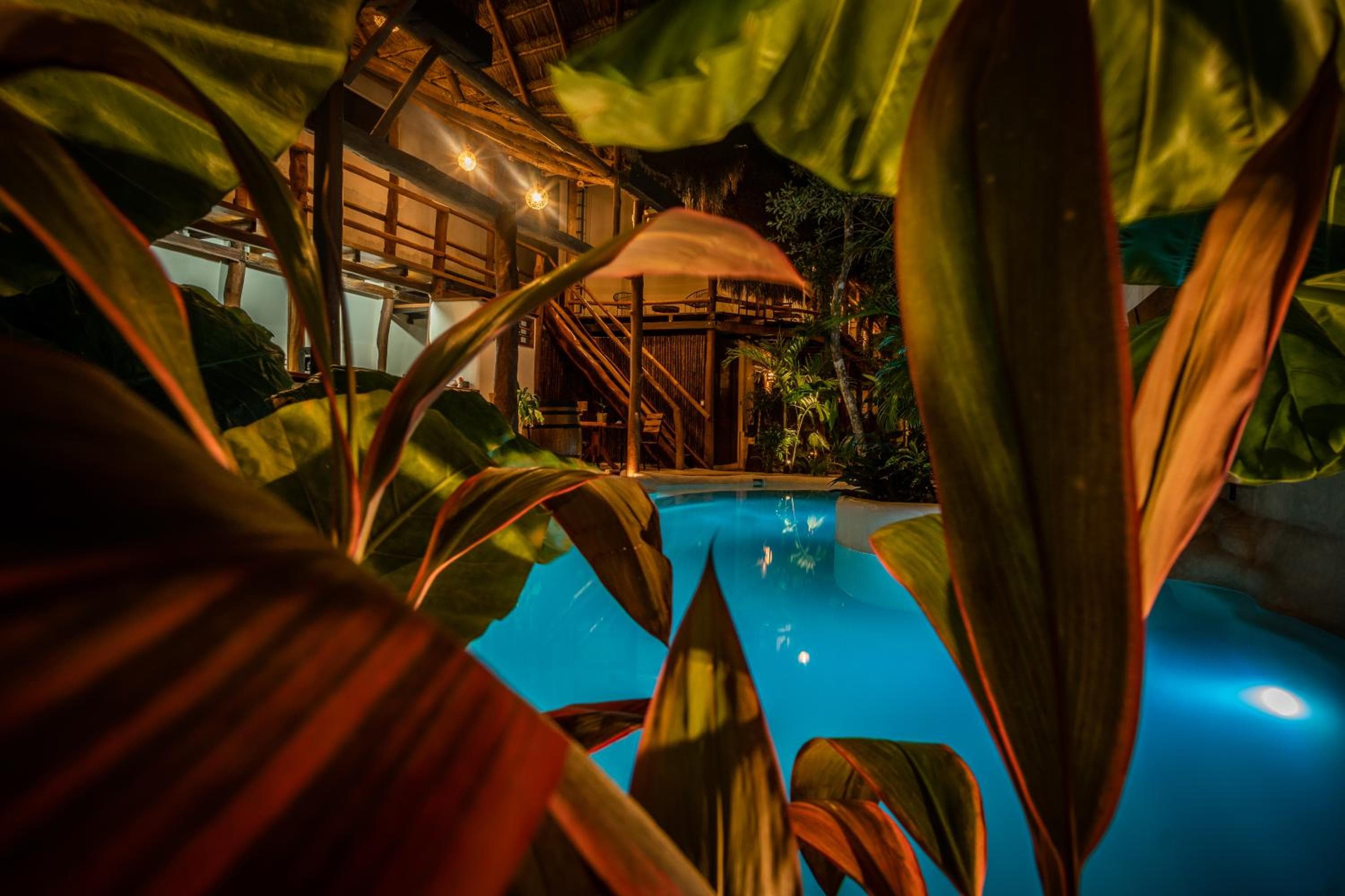 Hotel Boutique TerraNova — 4