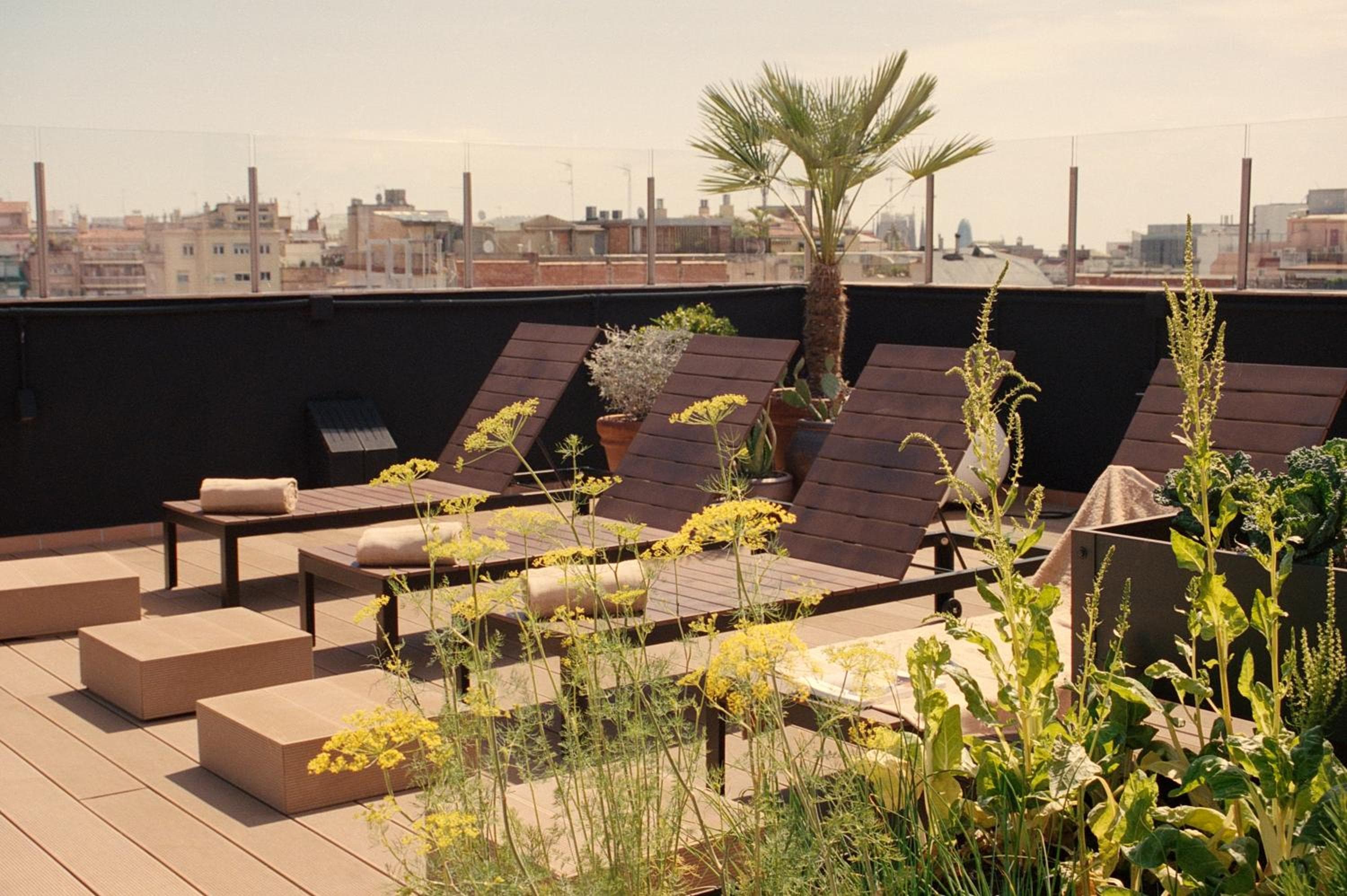 Pol & Grace Hotel — 23