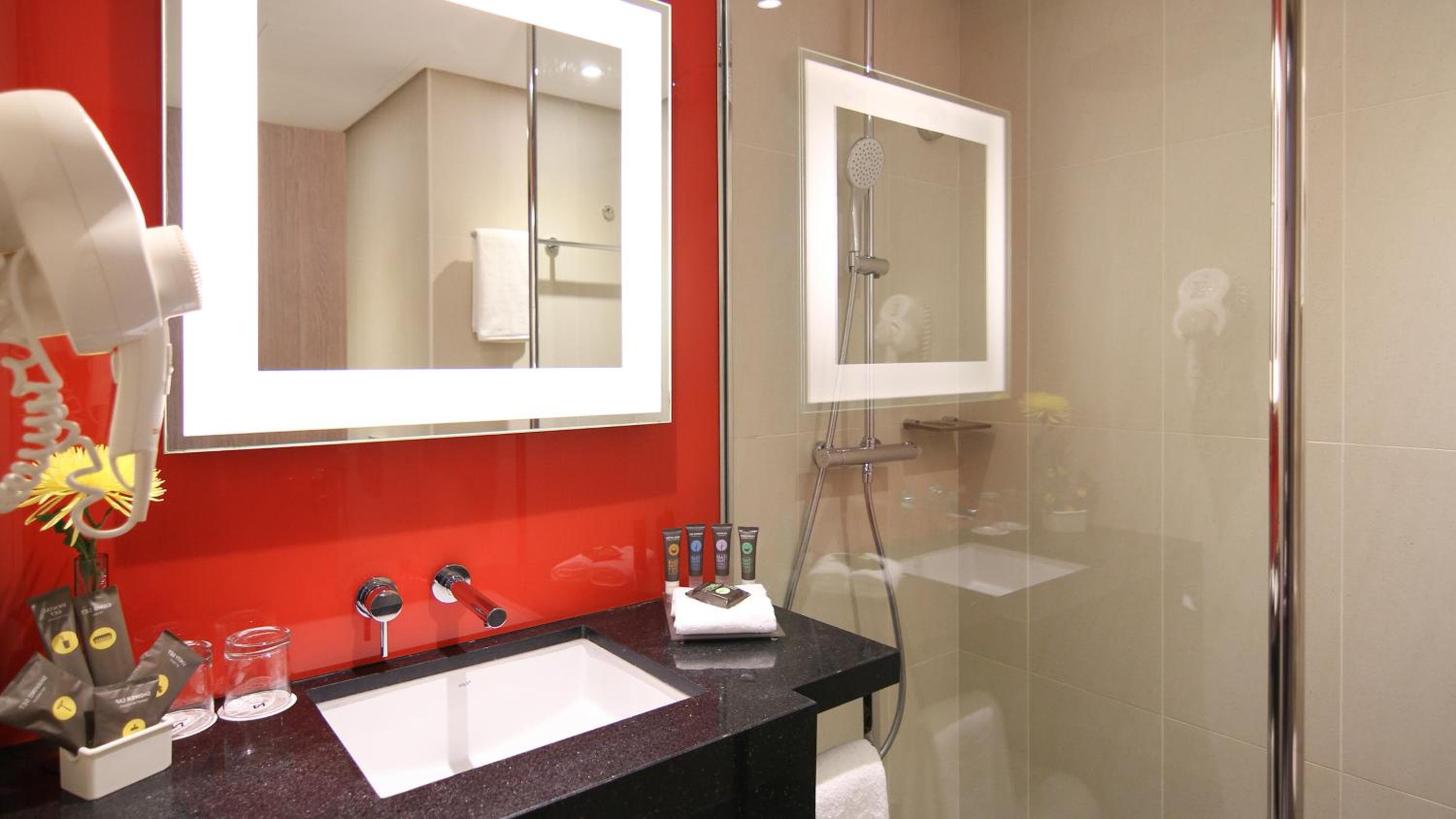 Novotel Dubai World Trade Centre — 25