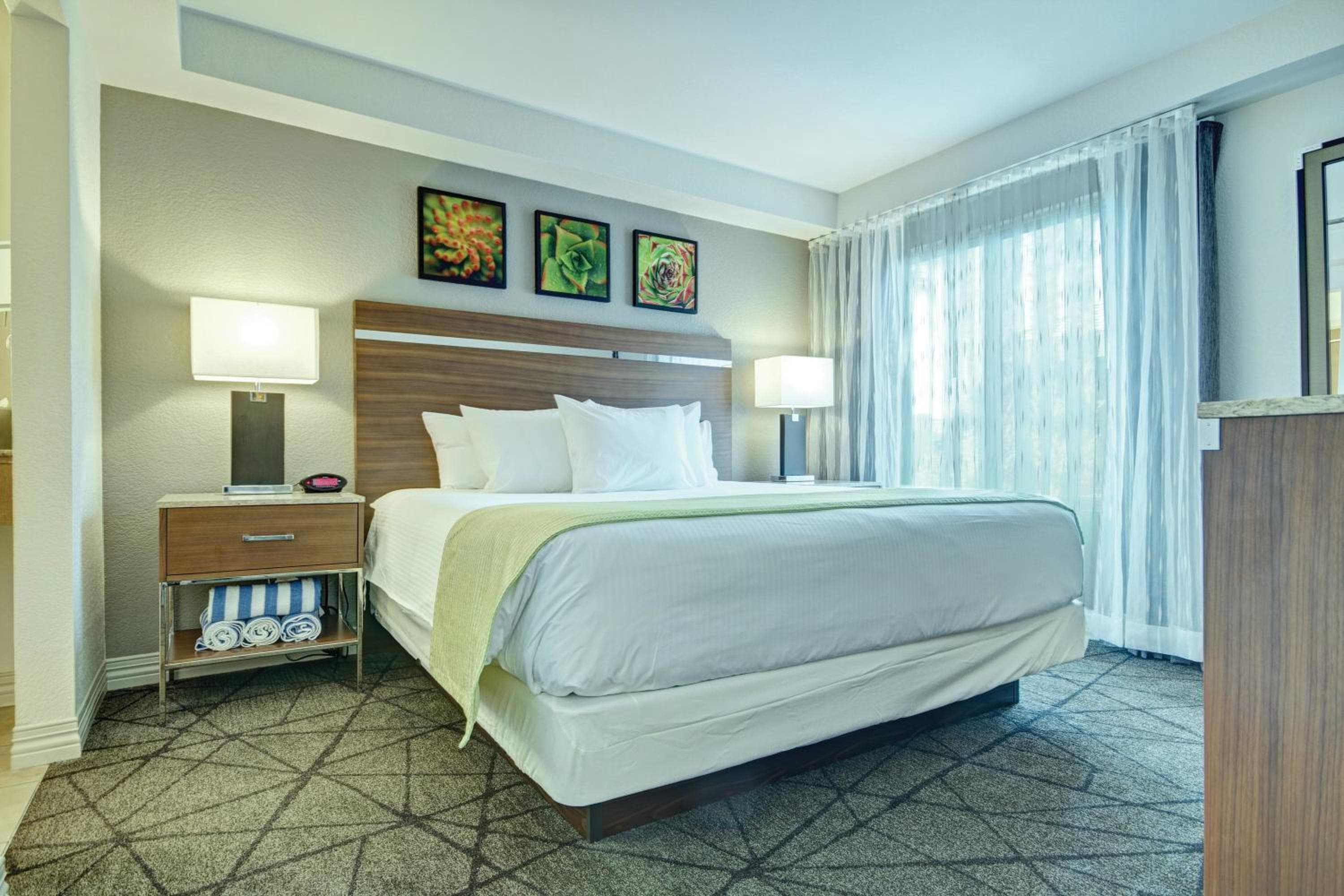 Desert Rose Resort — 10