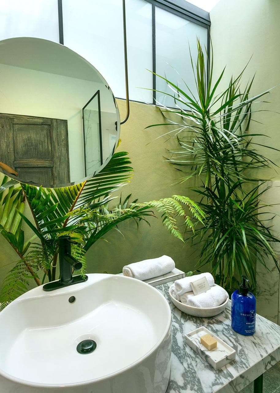 Casa delle Orchidee Polanco — 17