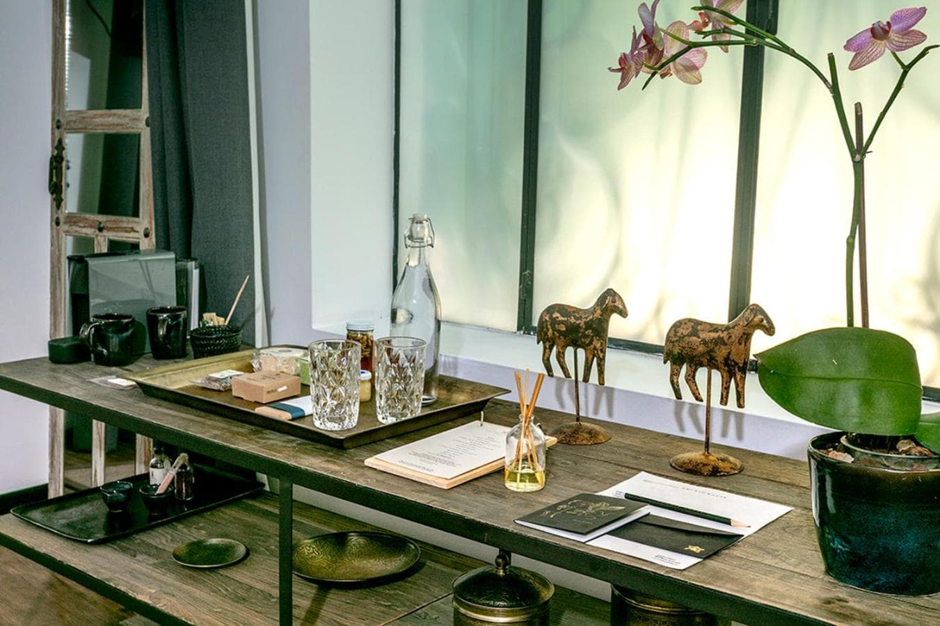 Casa delle Orchidee Polanco — 22