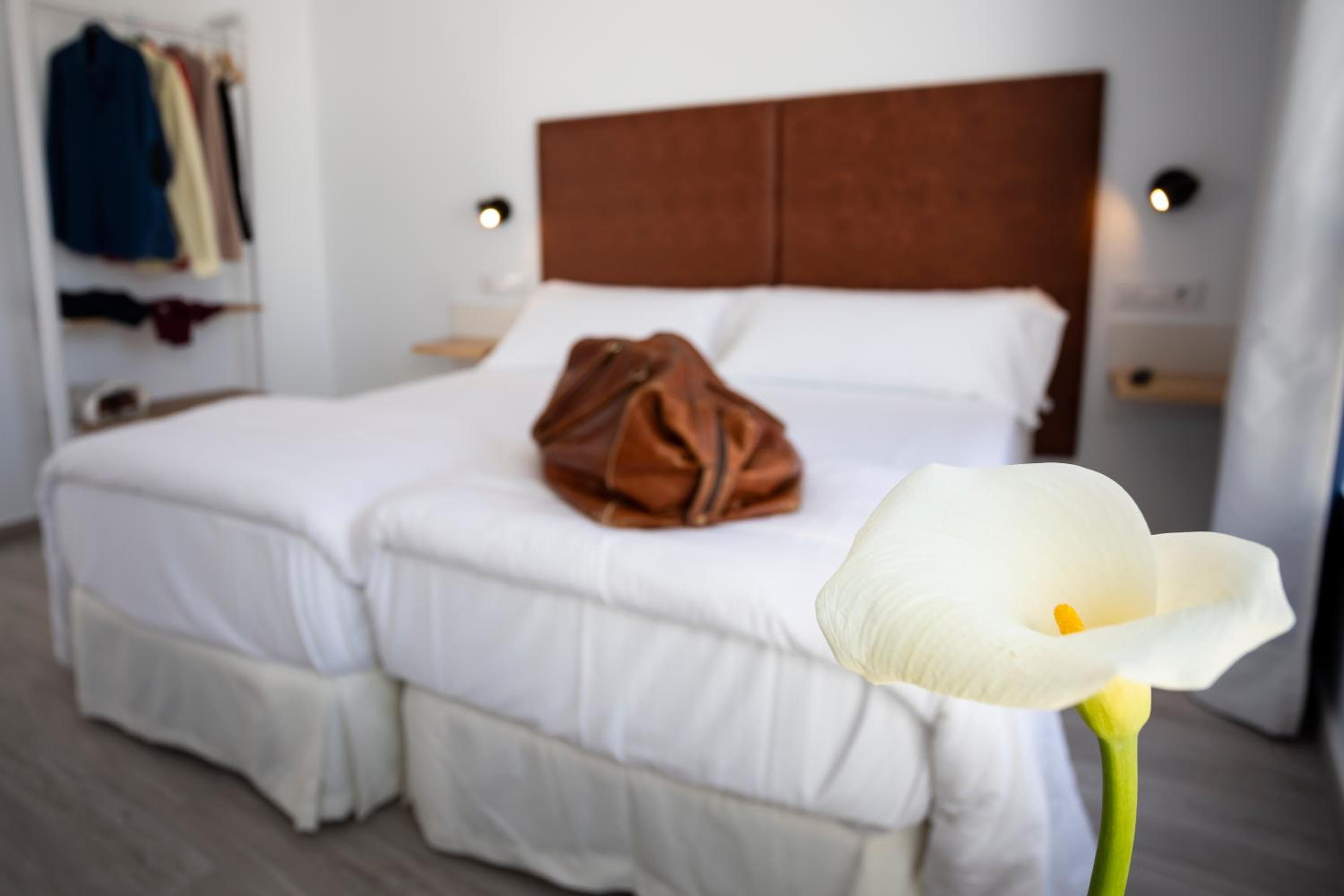 Basic Hotel Cattedrale di Siviglia — 27