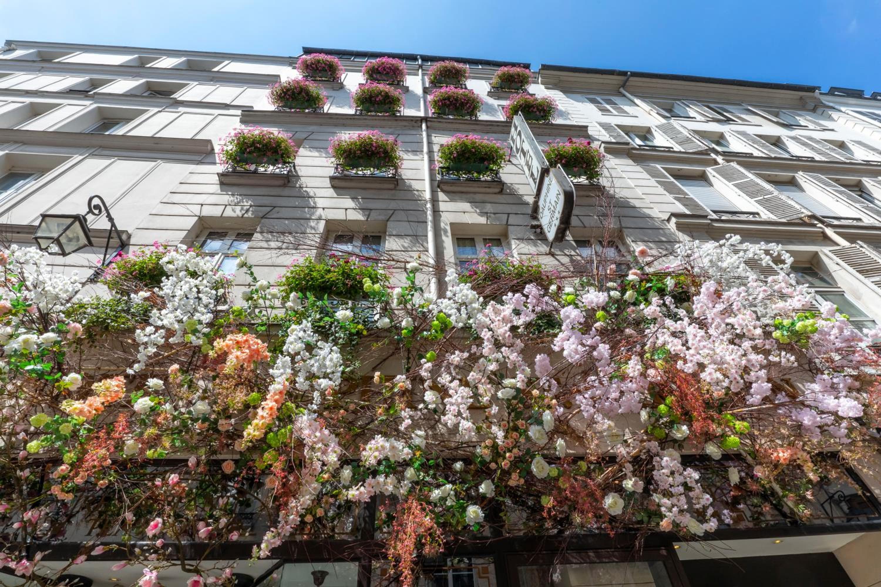 Dauphine Saint Germain — 1