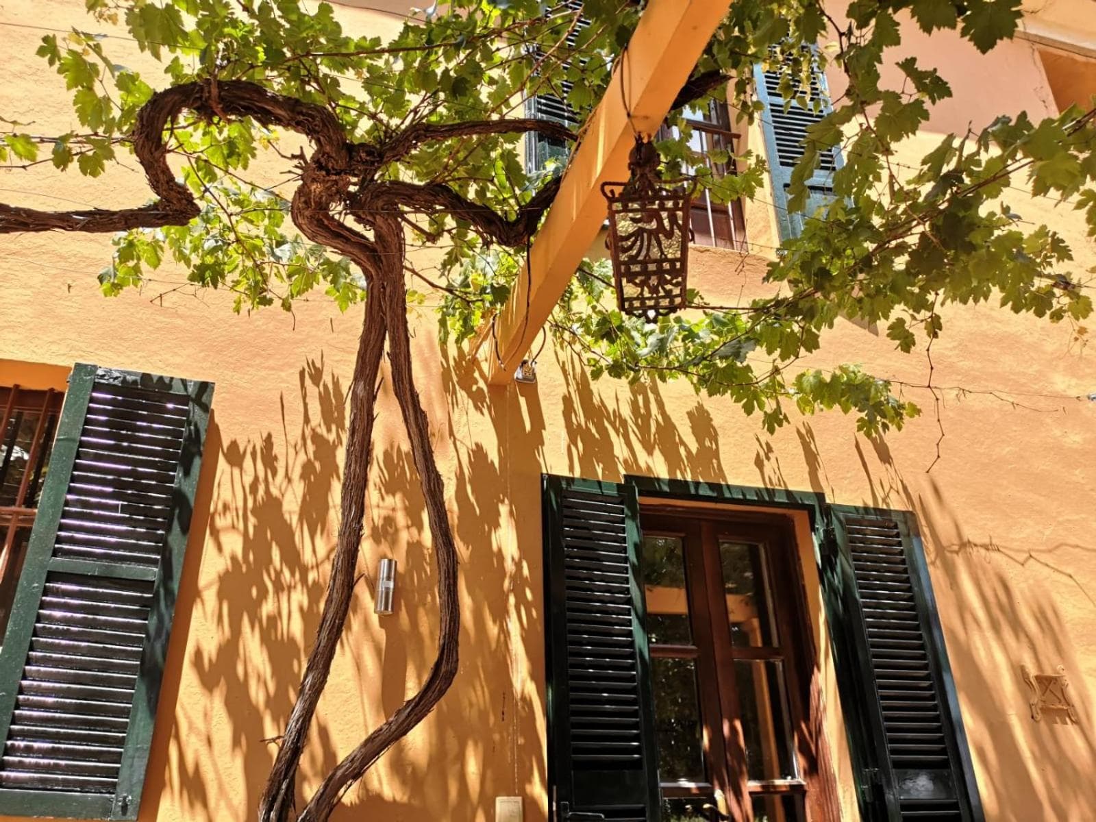 Villa Niza Mallorca — 24