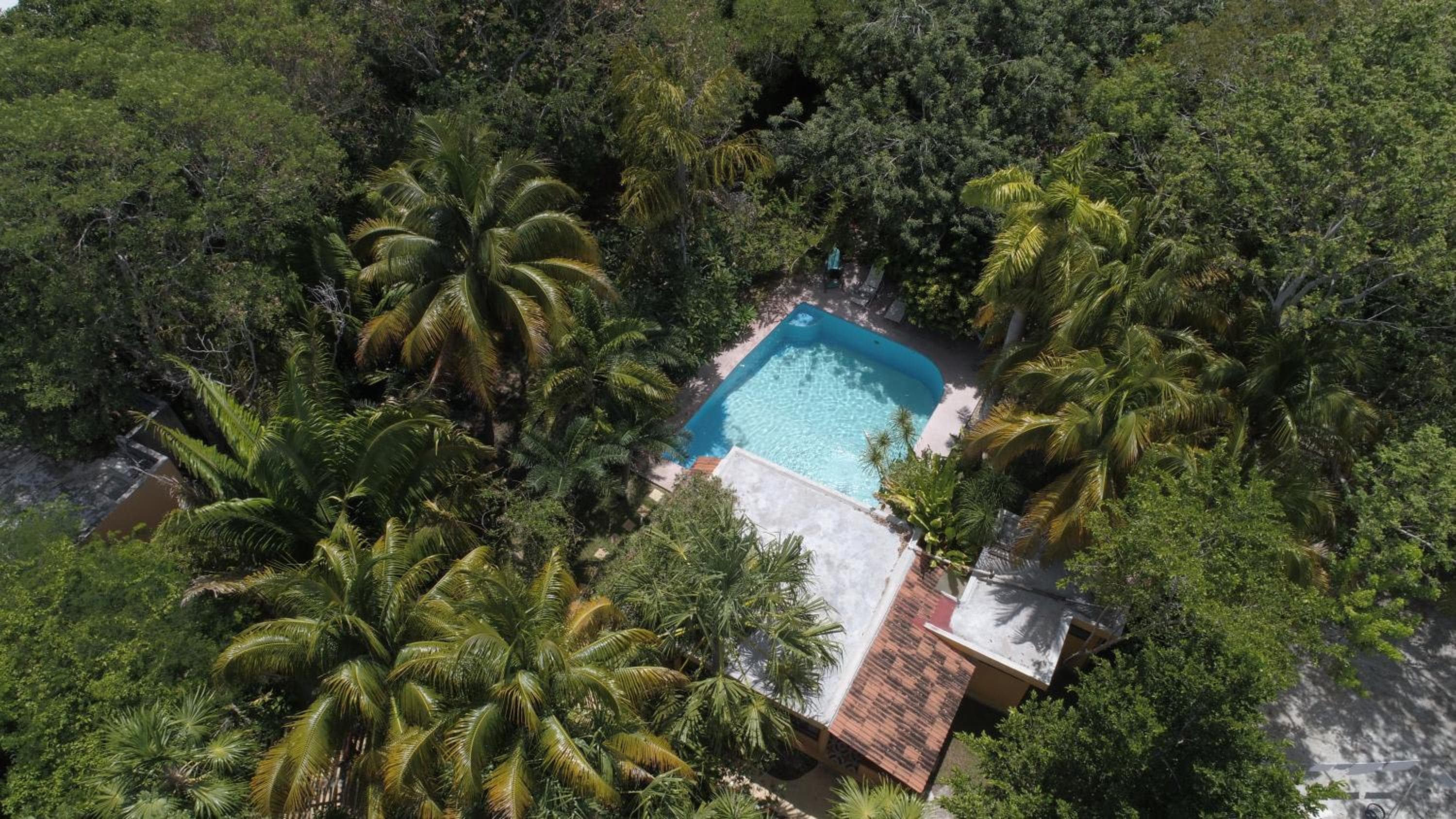 Casa Kin33 — 12