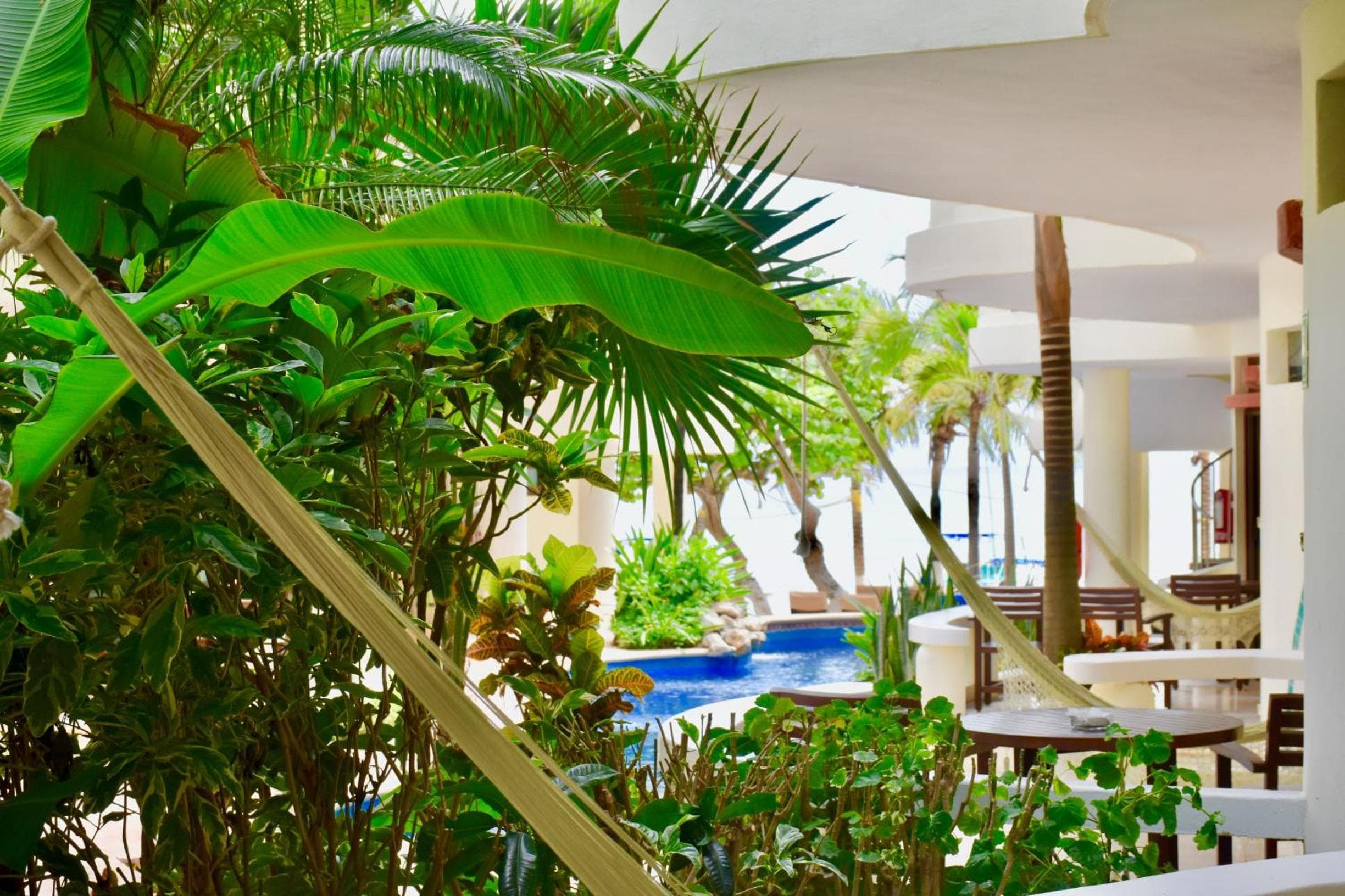 Playa Palms Beach Hotel — 15