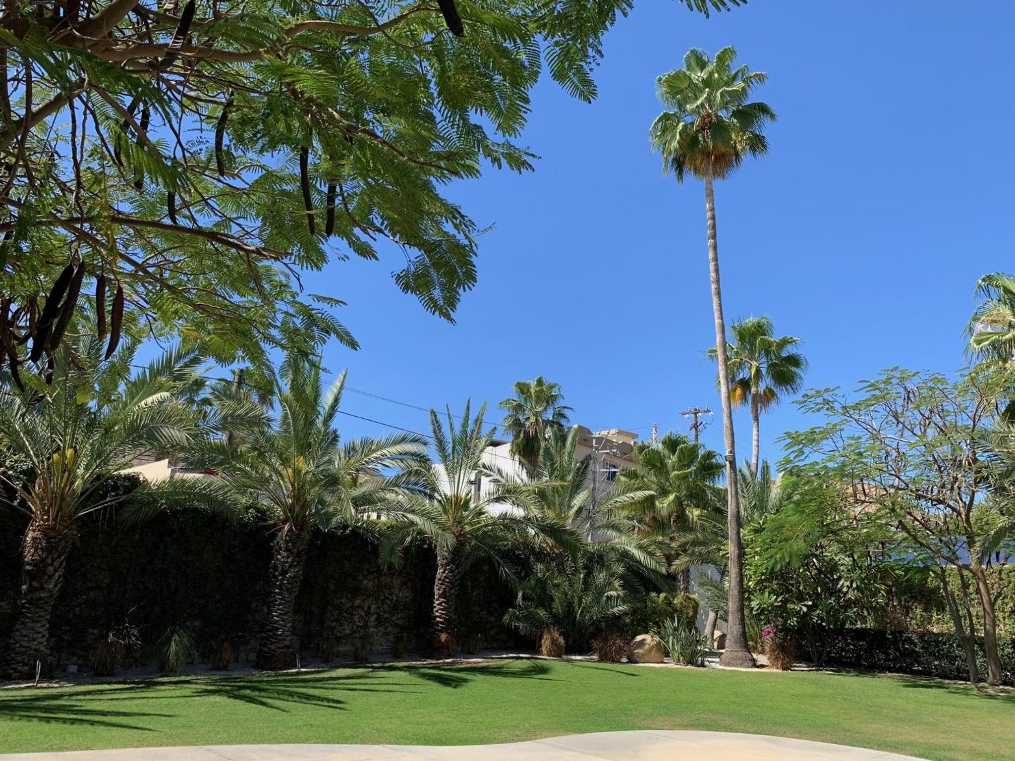 Los Milagros Hotel — 2
