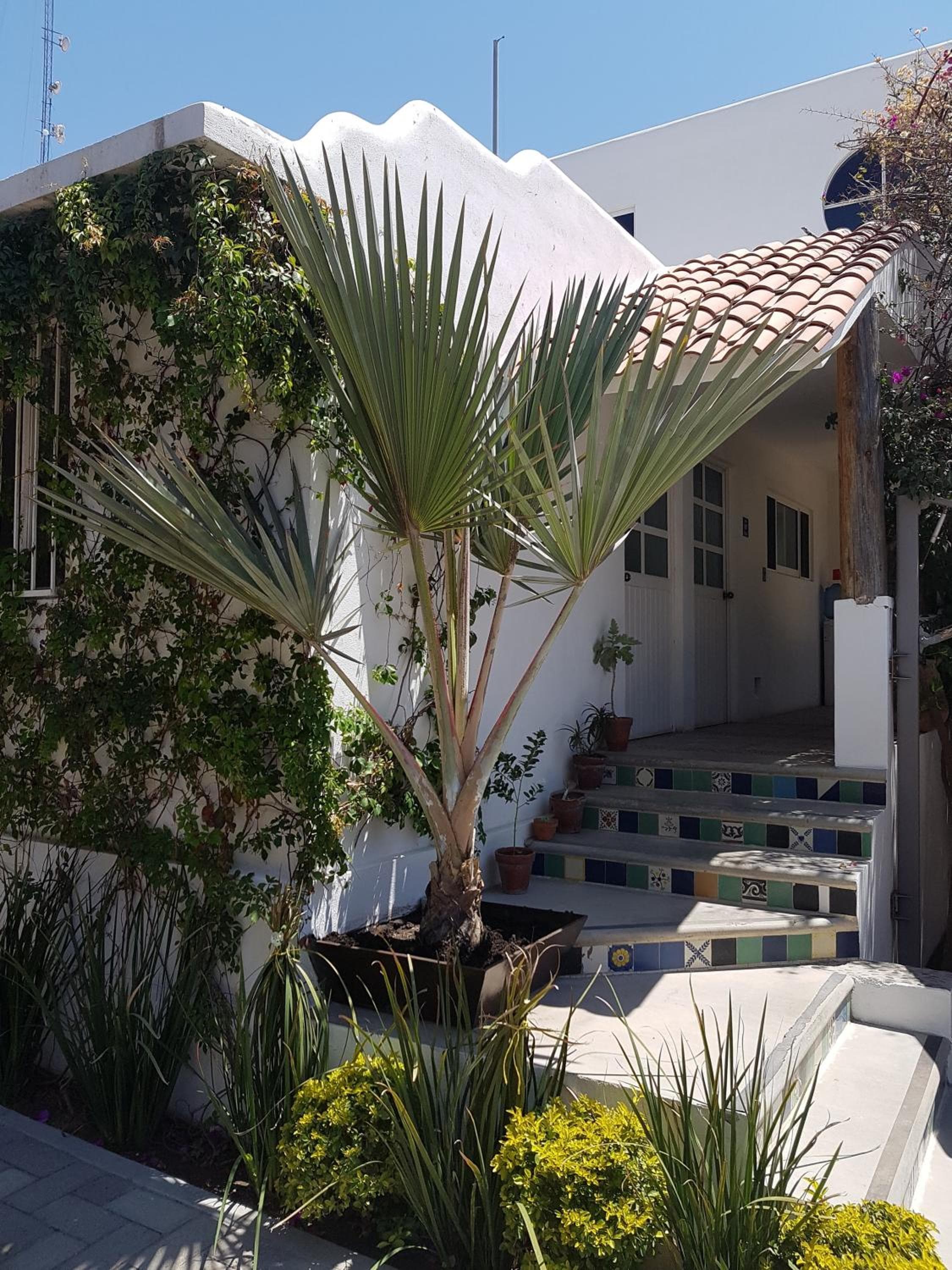 Los Milagros Hotel - Die Wunder Hotel — 11