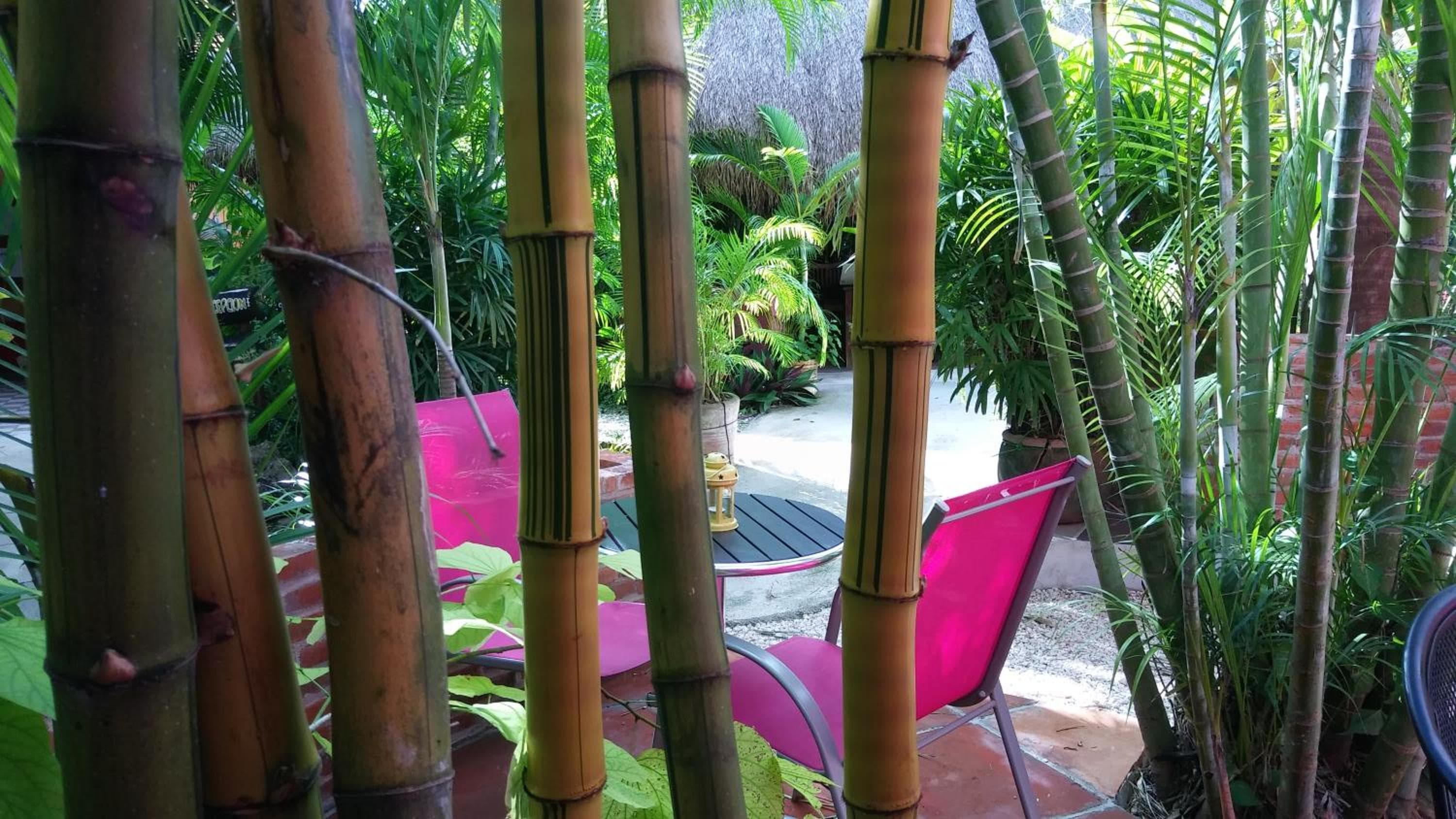 Casa Don Diego — 10