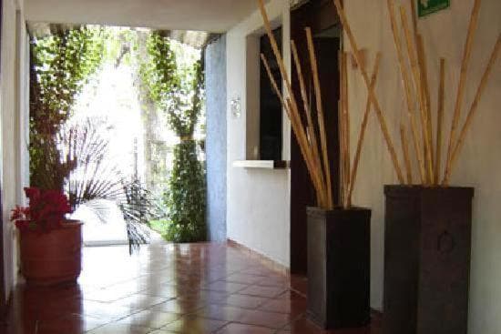 Hotel Los Girasoles — 9