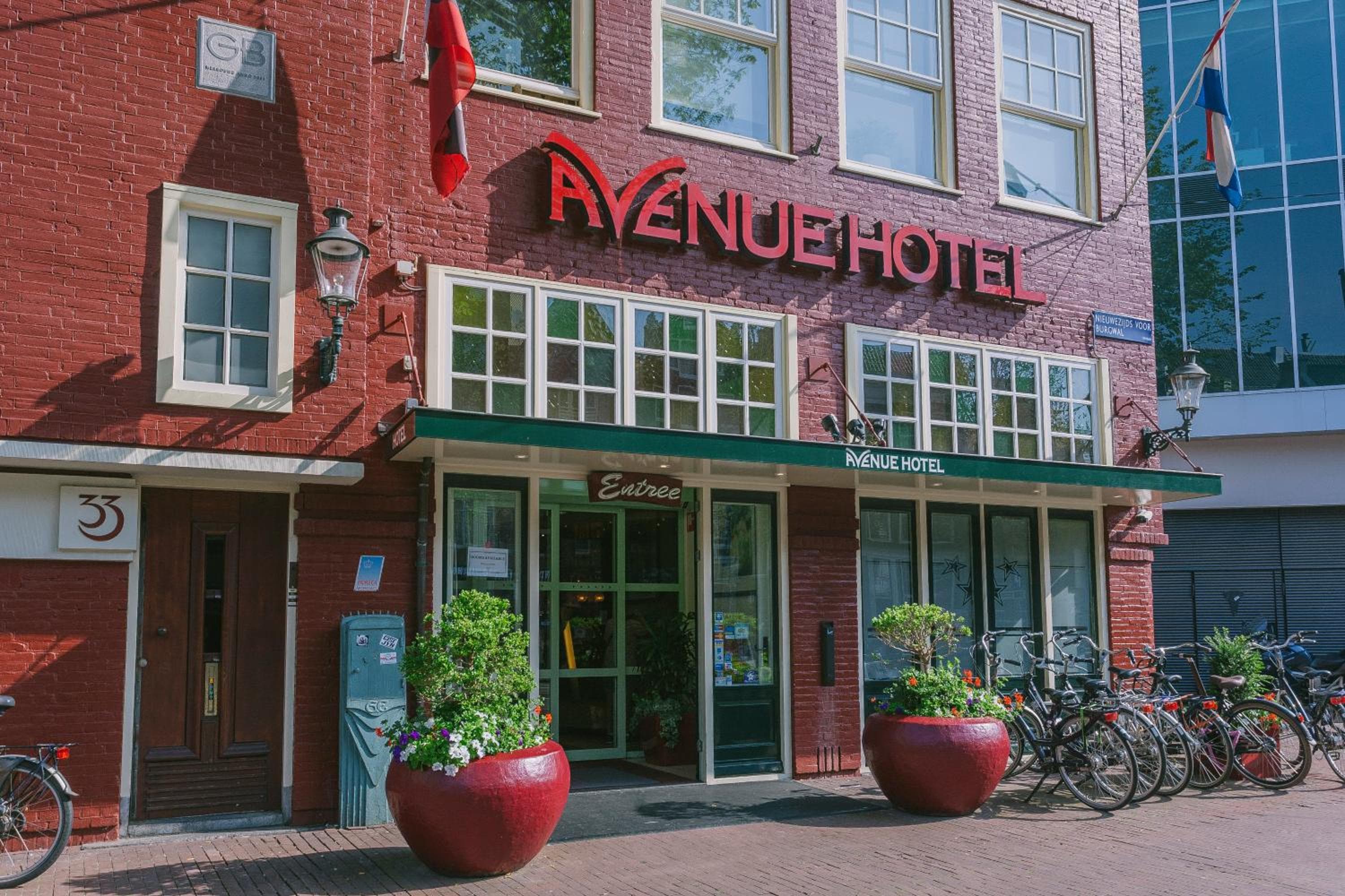 Avenue Hotel — 8