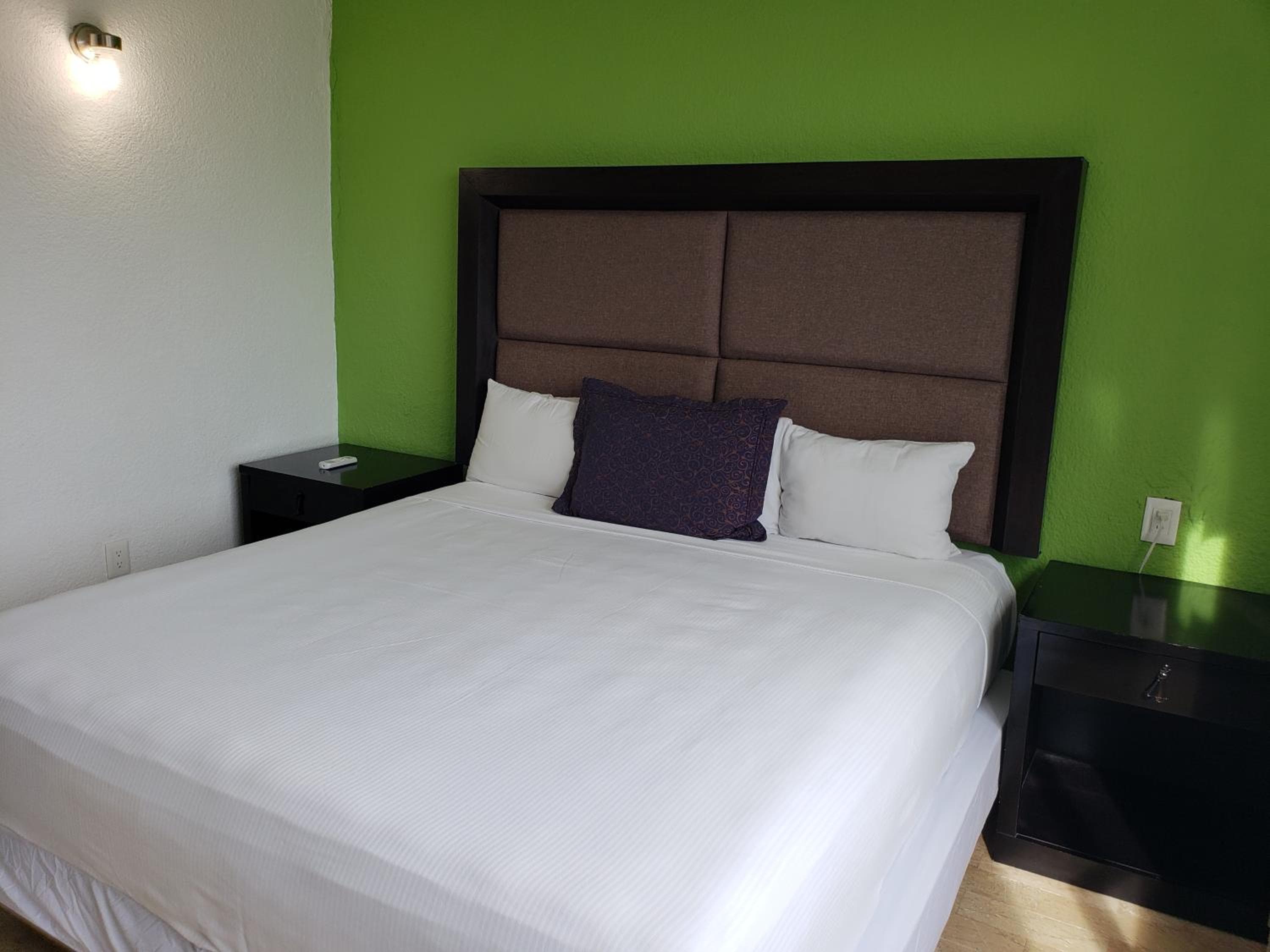 Albergo Verde 16 — 14