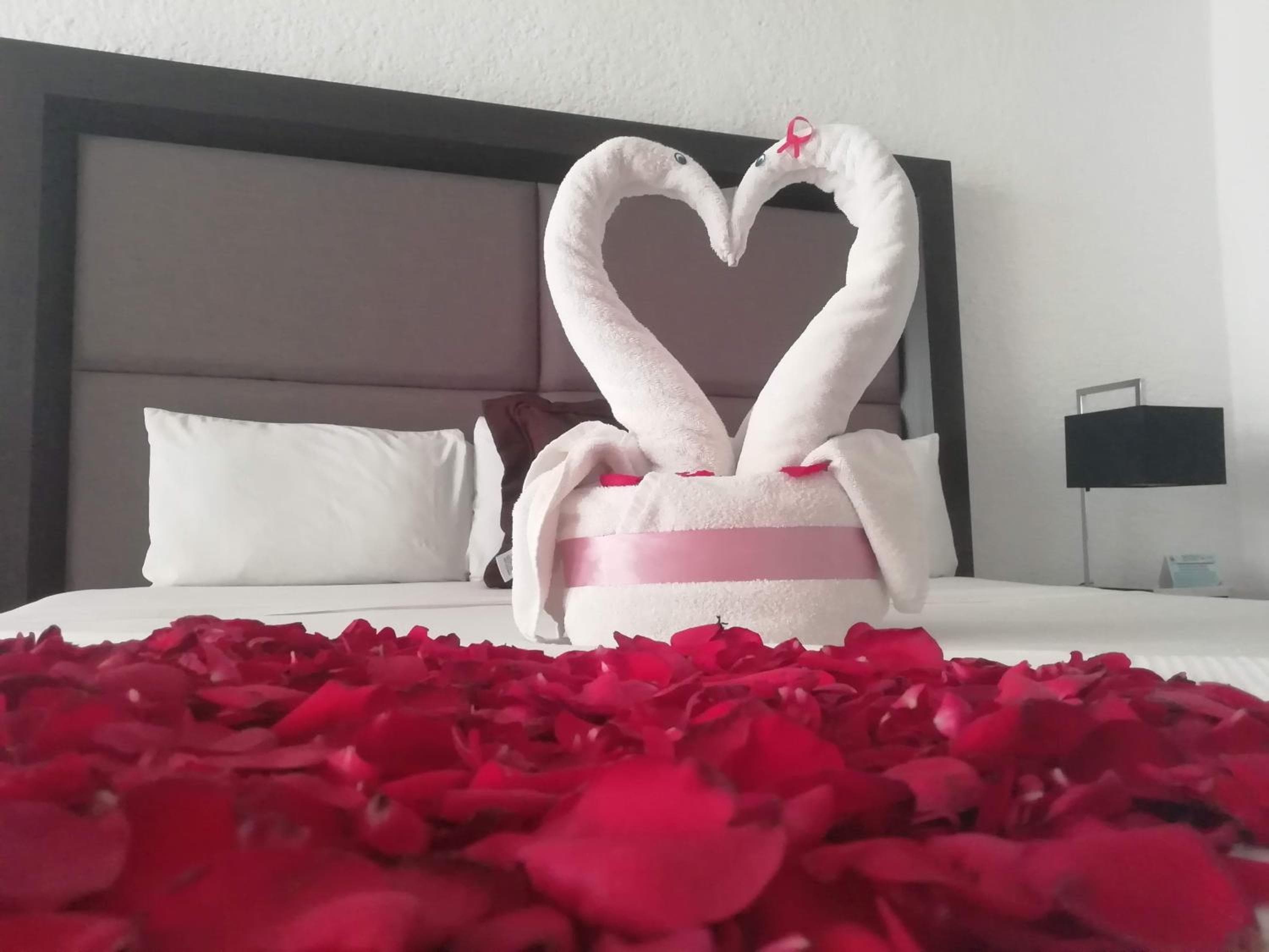 Albergo Verde 16 — 20