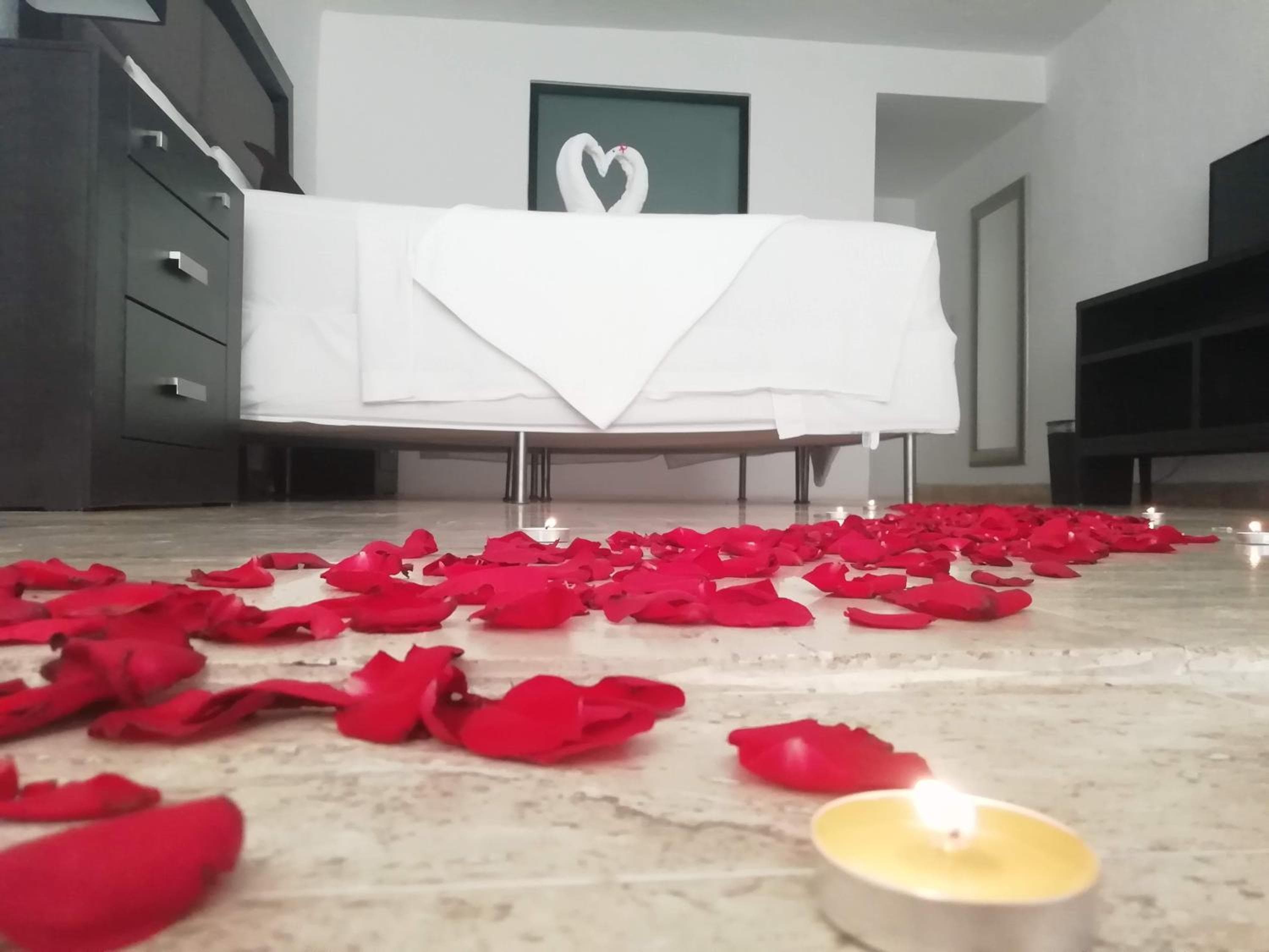 Albergo Verde 16 — 21