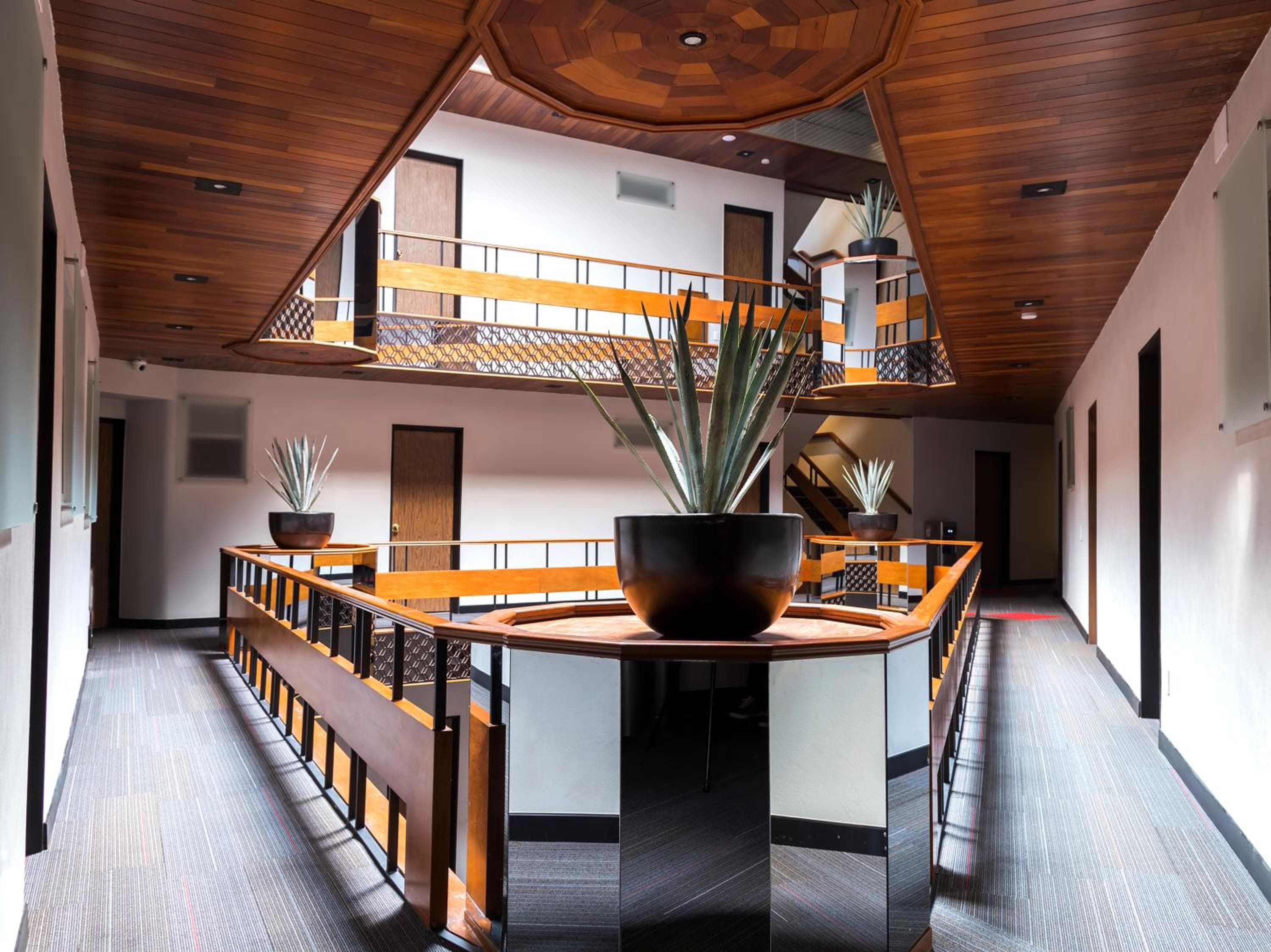 VOS Condesa — 4