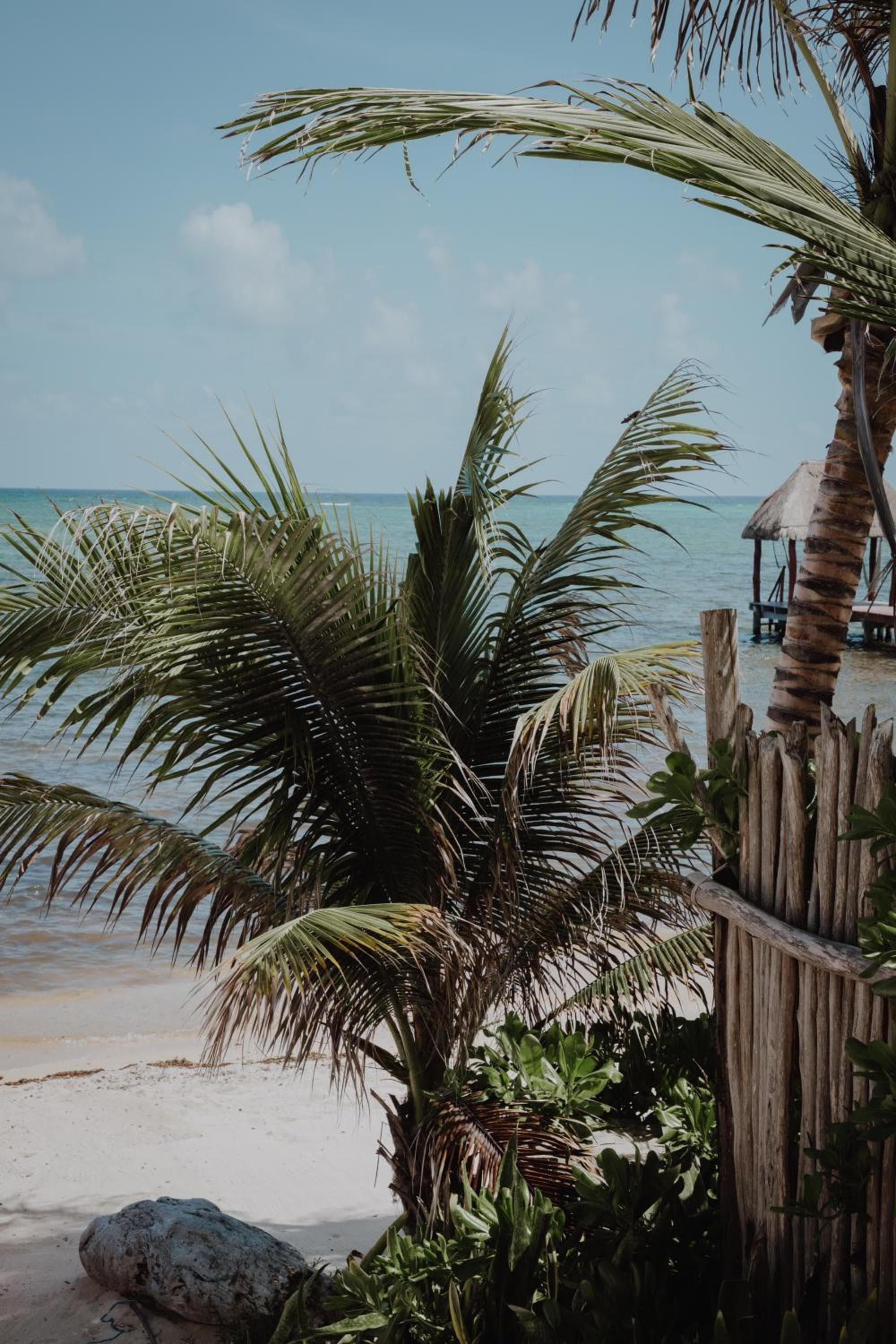 Cielo Maya Beach Tulum — 8