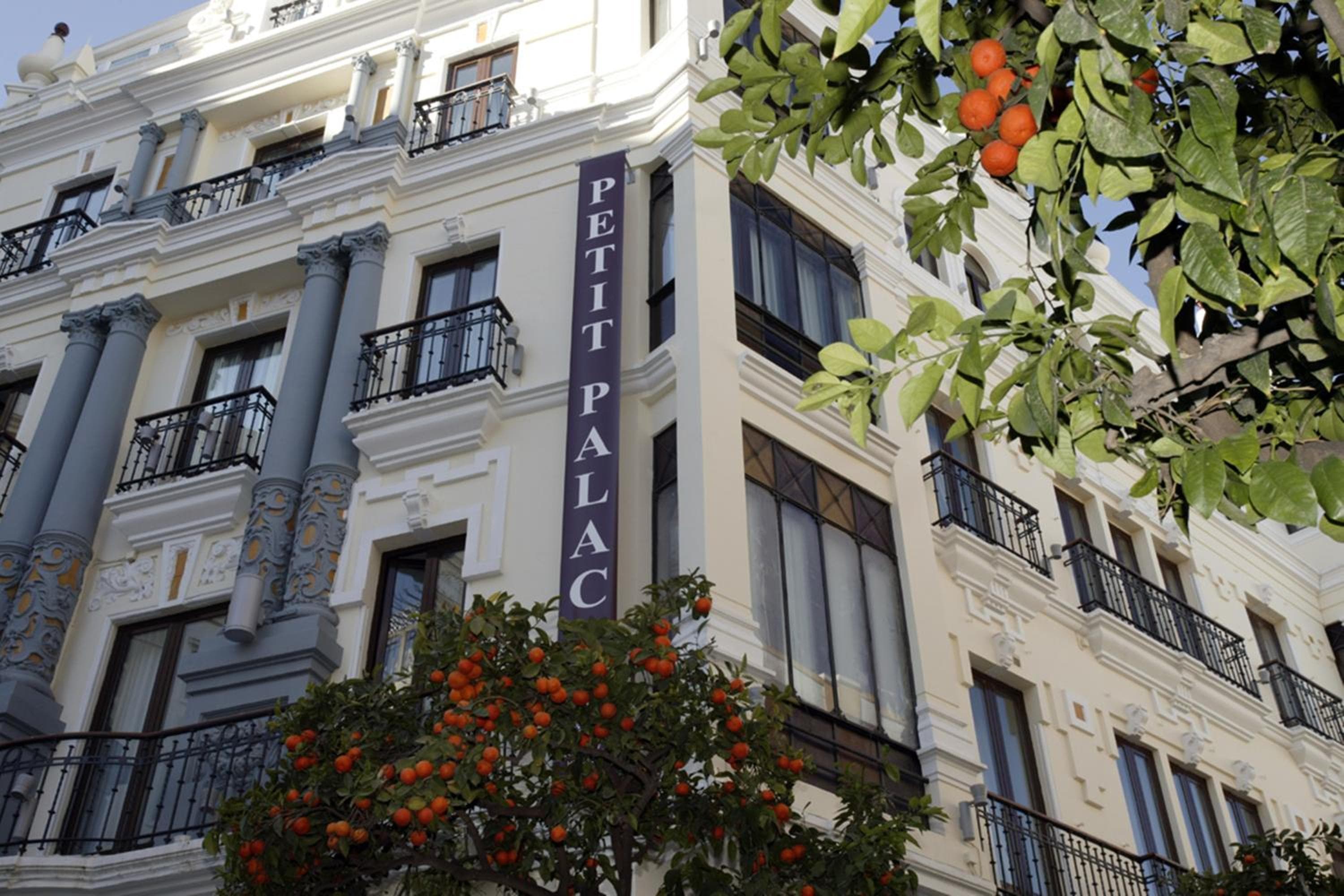 Petit Palace Canalejas Sevilla — 24