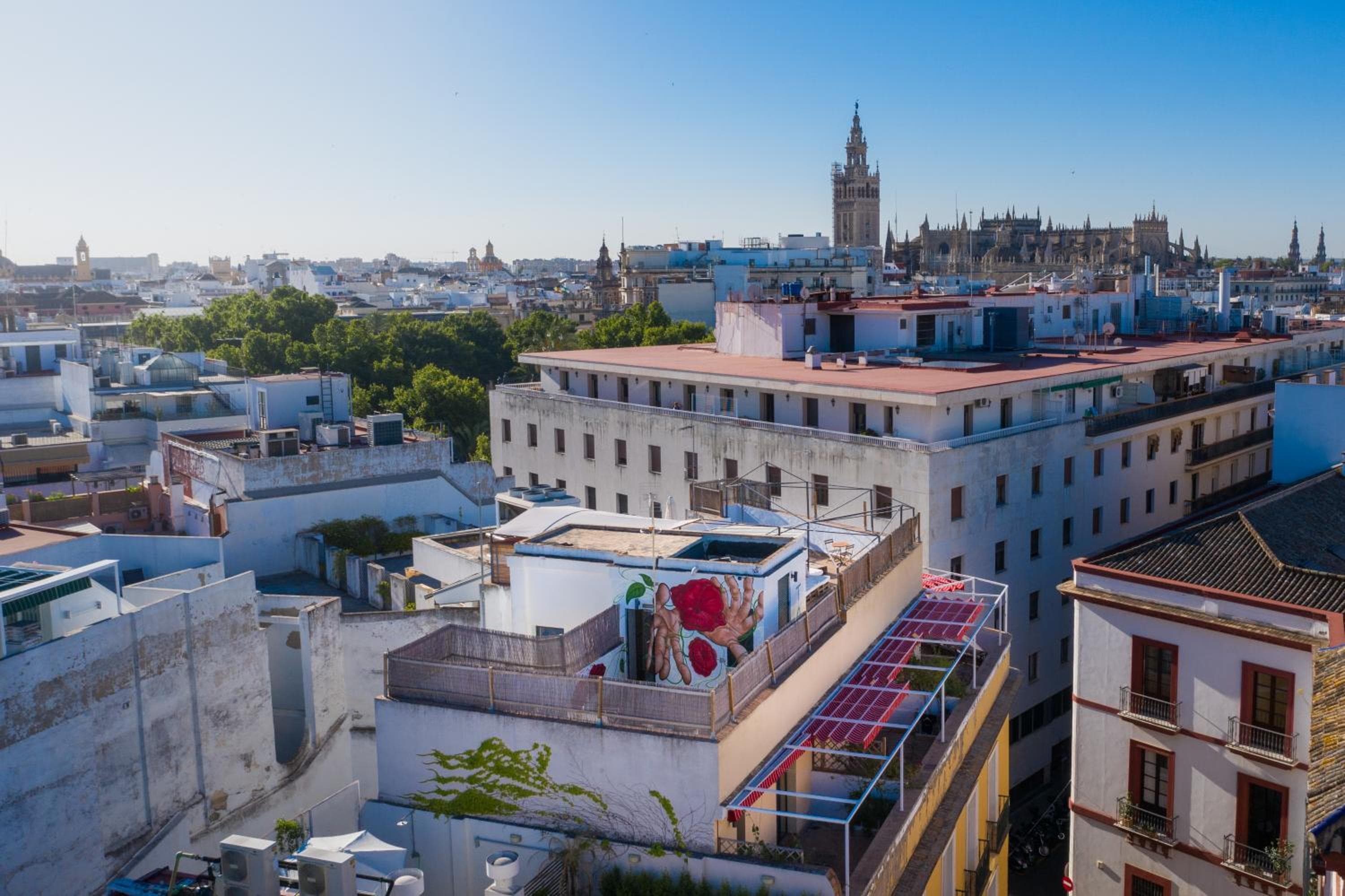 Schwarzer Schwan Hostel Sevilla — 3