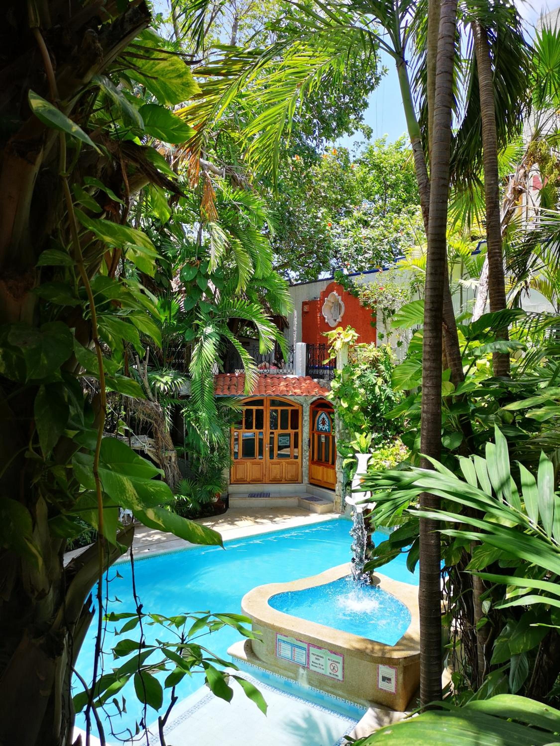 Eco-hotel El Rey del Caribe — 6