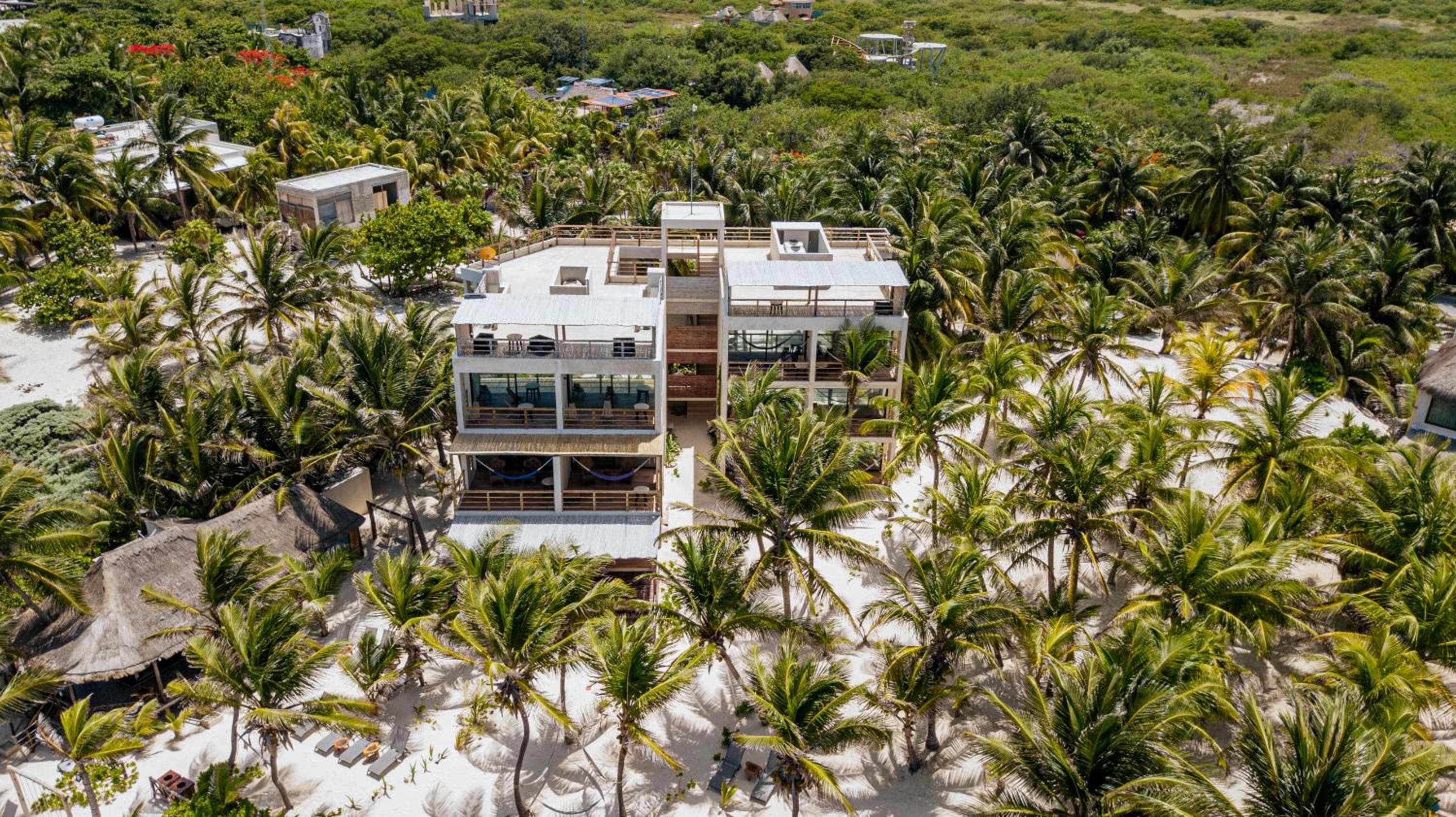 Le barriere coralline — 21