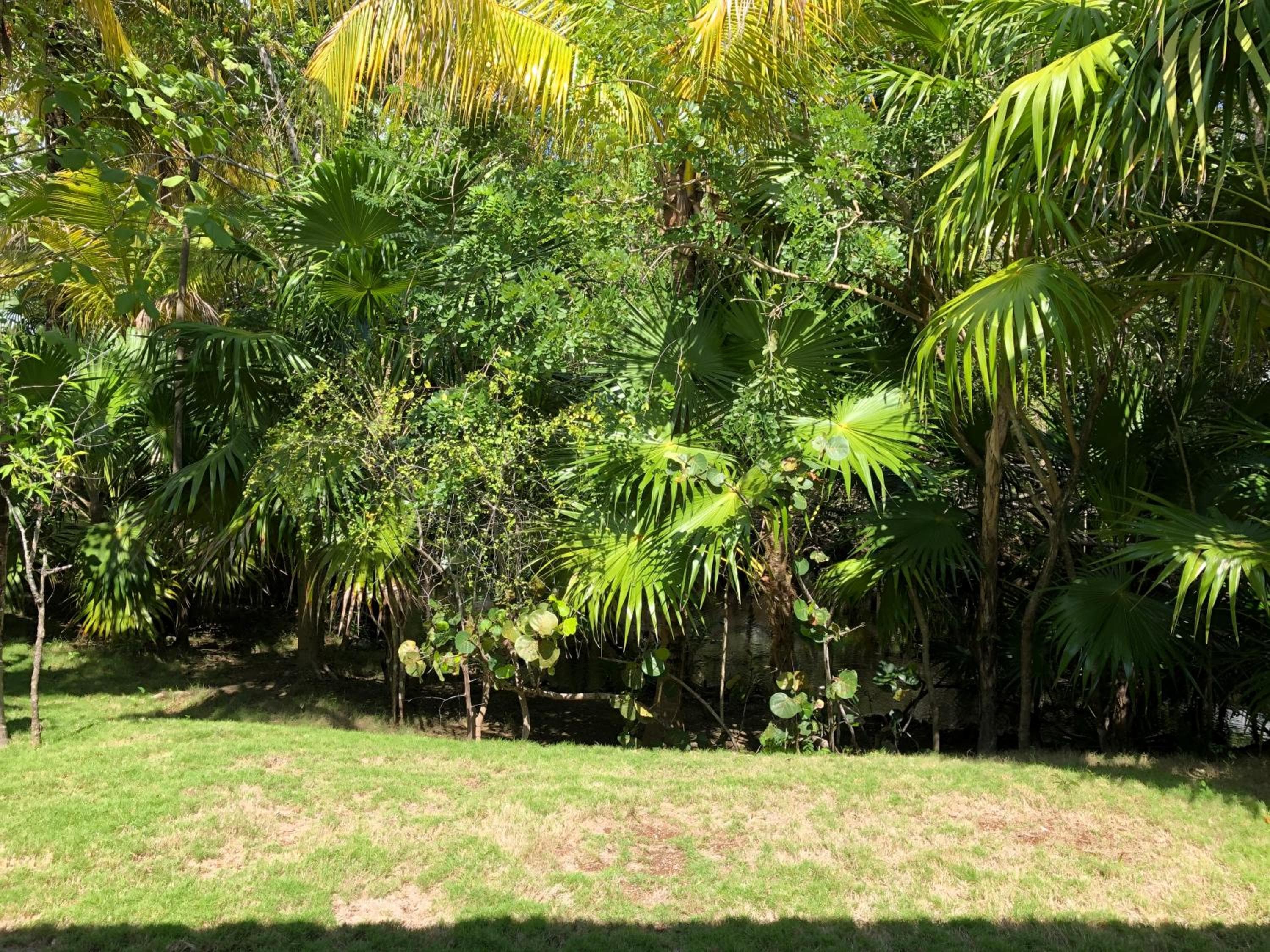 Blue Diamond Wellness Resort - All Inclusive Adults Only — 21
