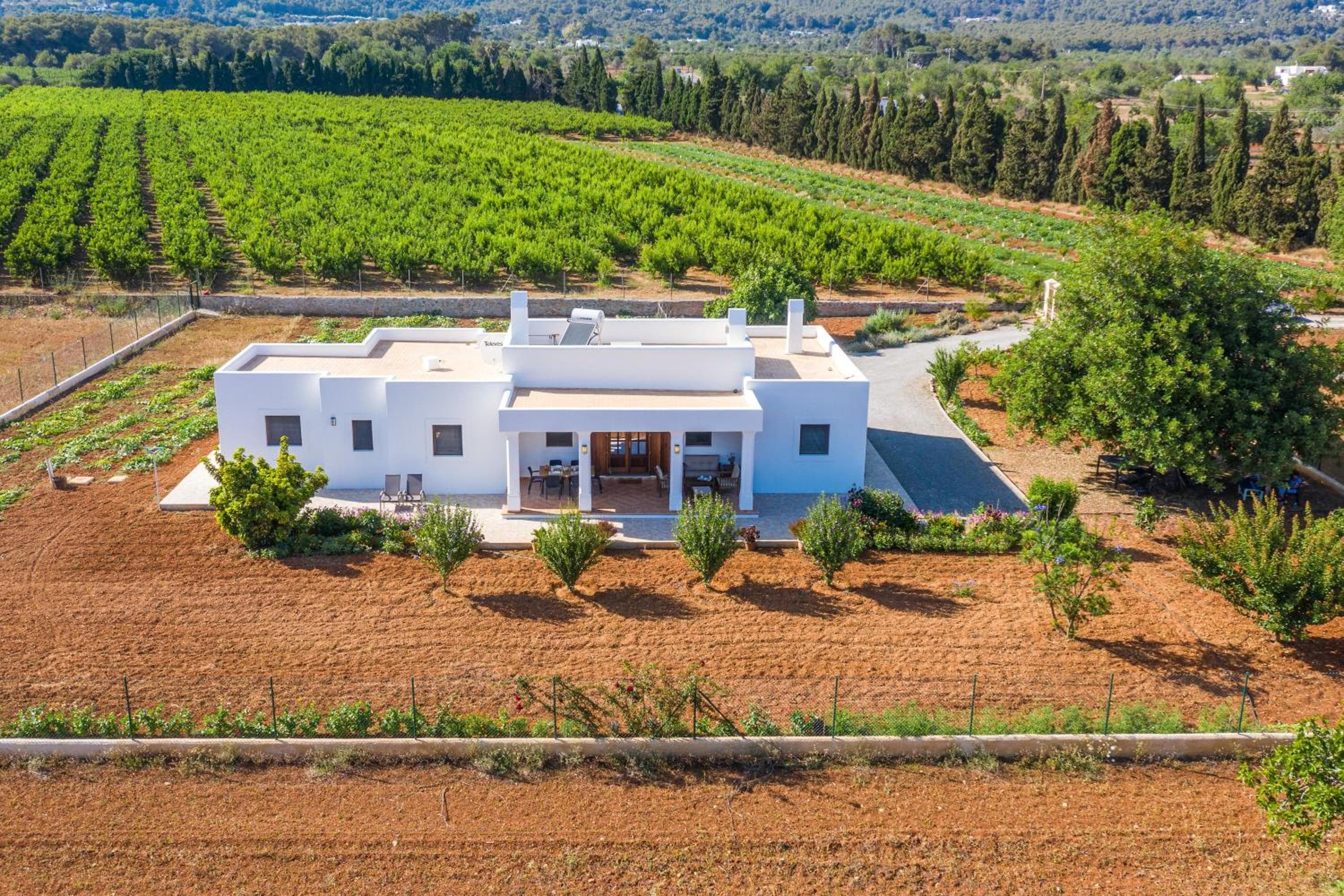 Casa Cristina Ibiza — 1