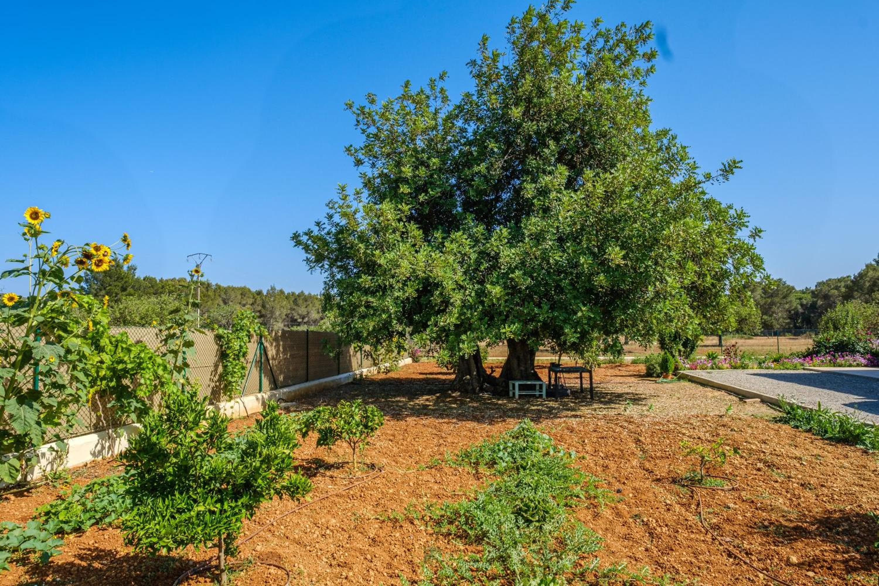 Casa Cristina Ibiza — 22