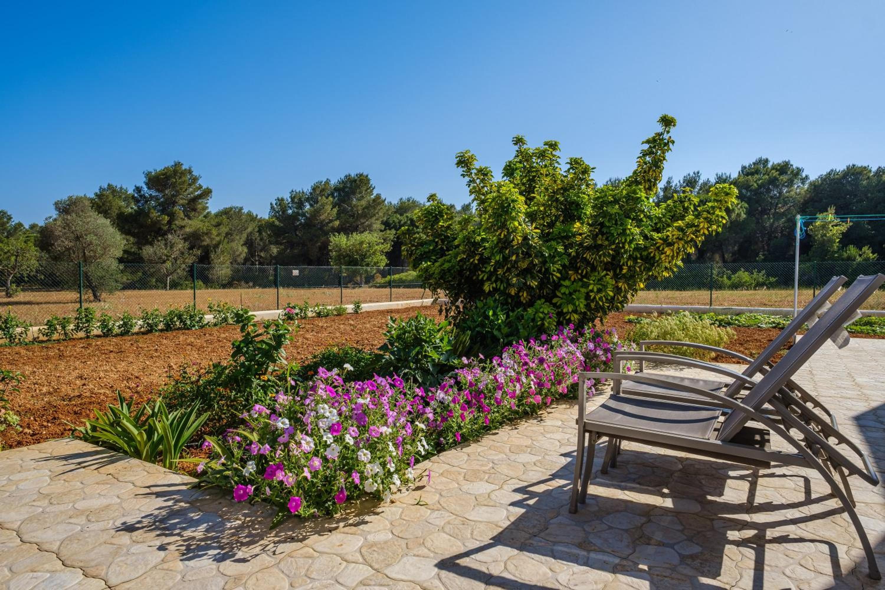 Casa Cristina Ibiza — 4
