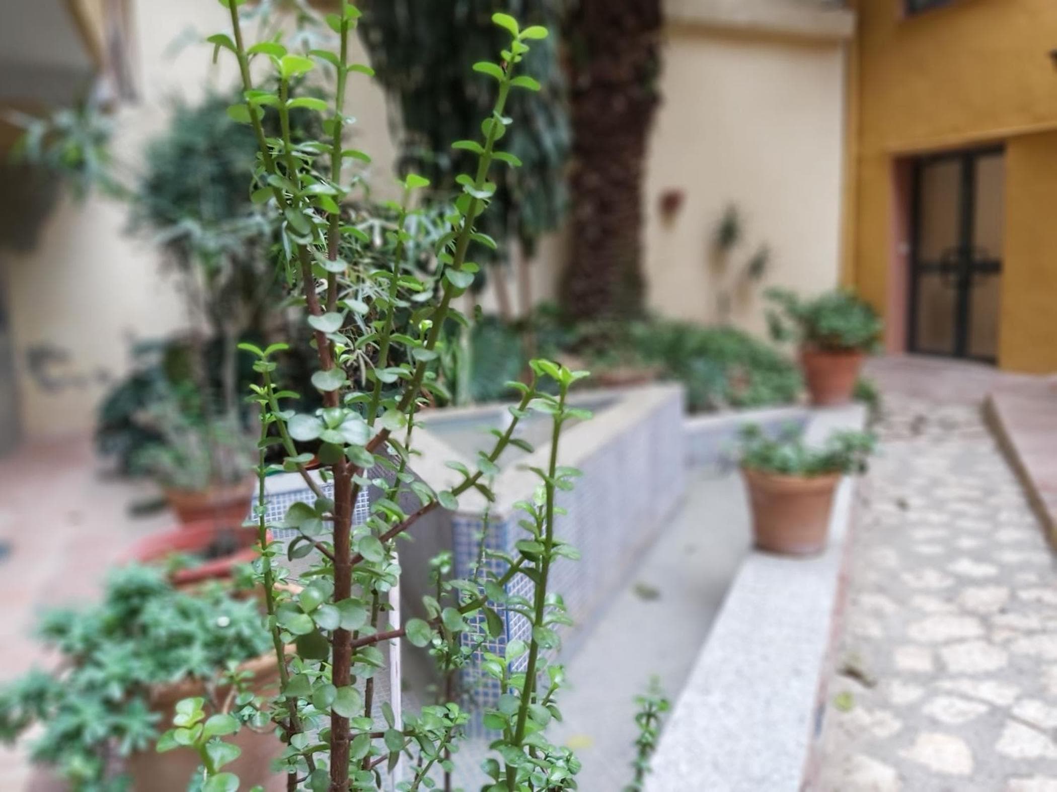 Del parque flats estudio martires — 27
