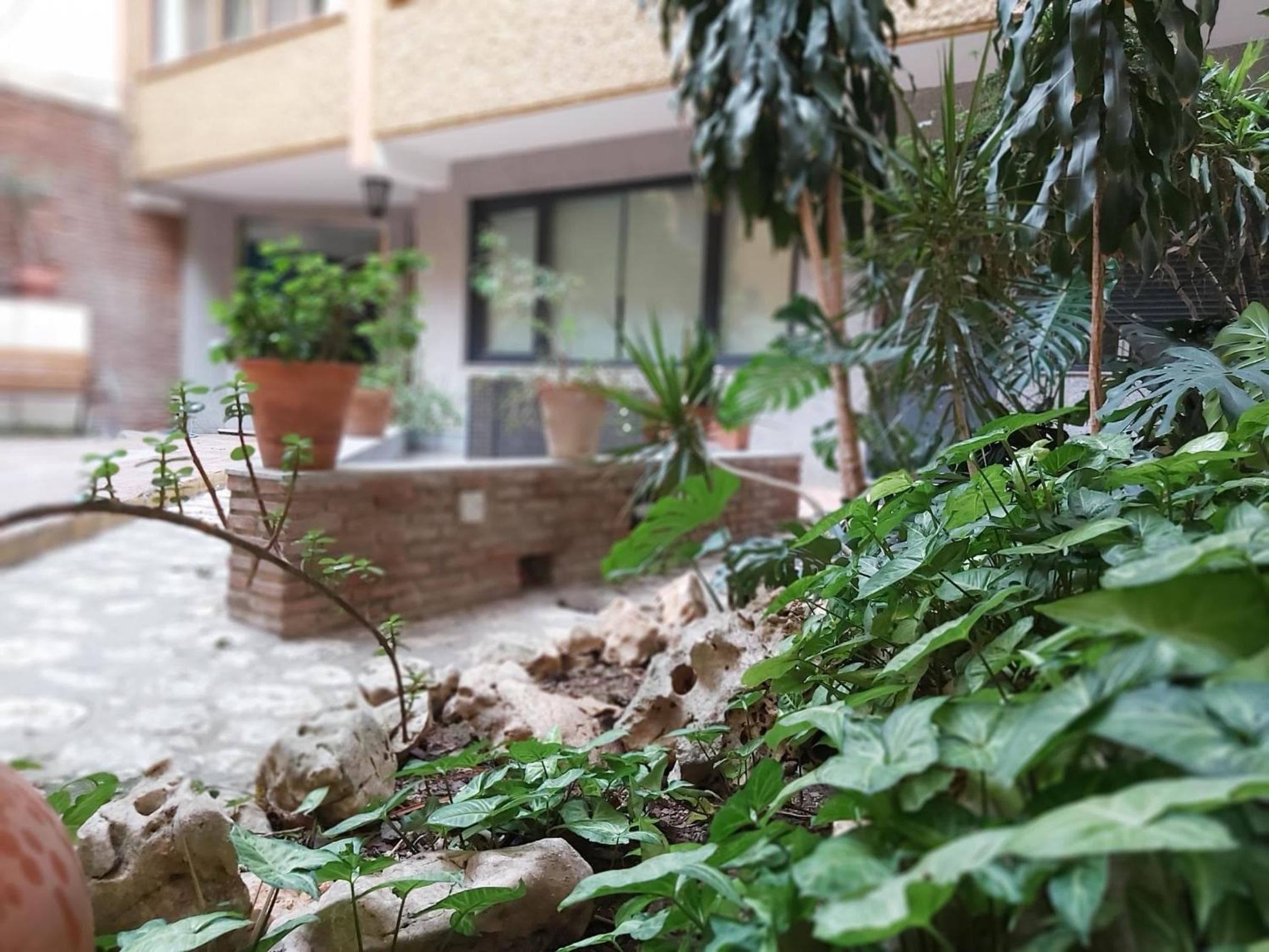 Del parque flats estudio martires — 6