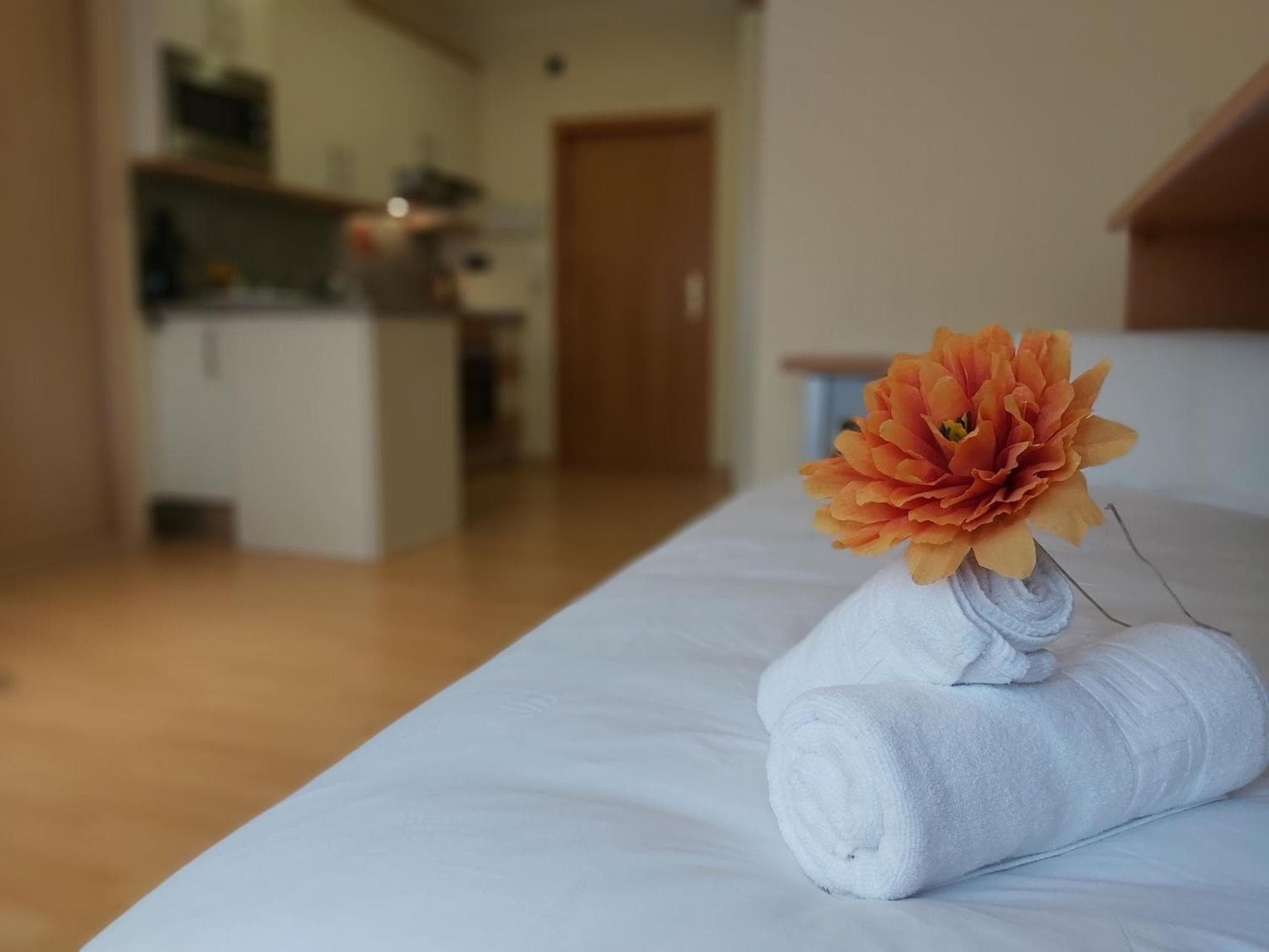 Del parque flats estudio martires — 24