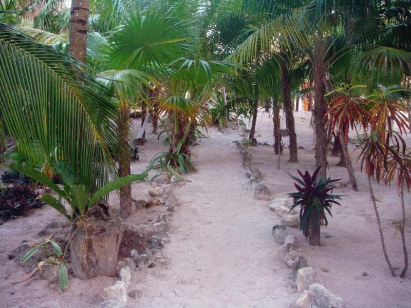 Azucar Hotel Tulum — 4