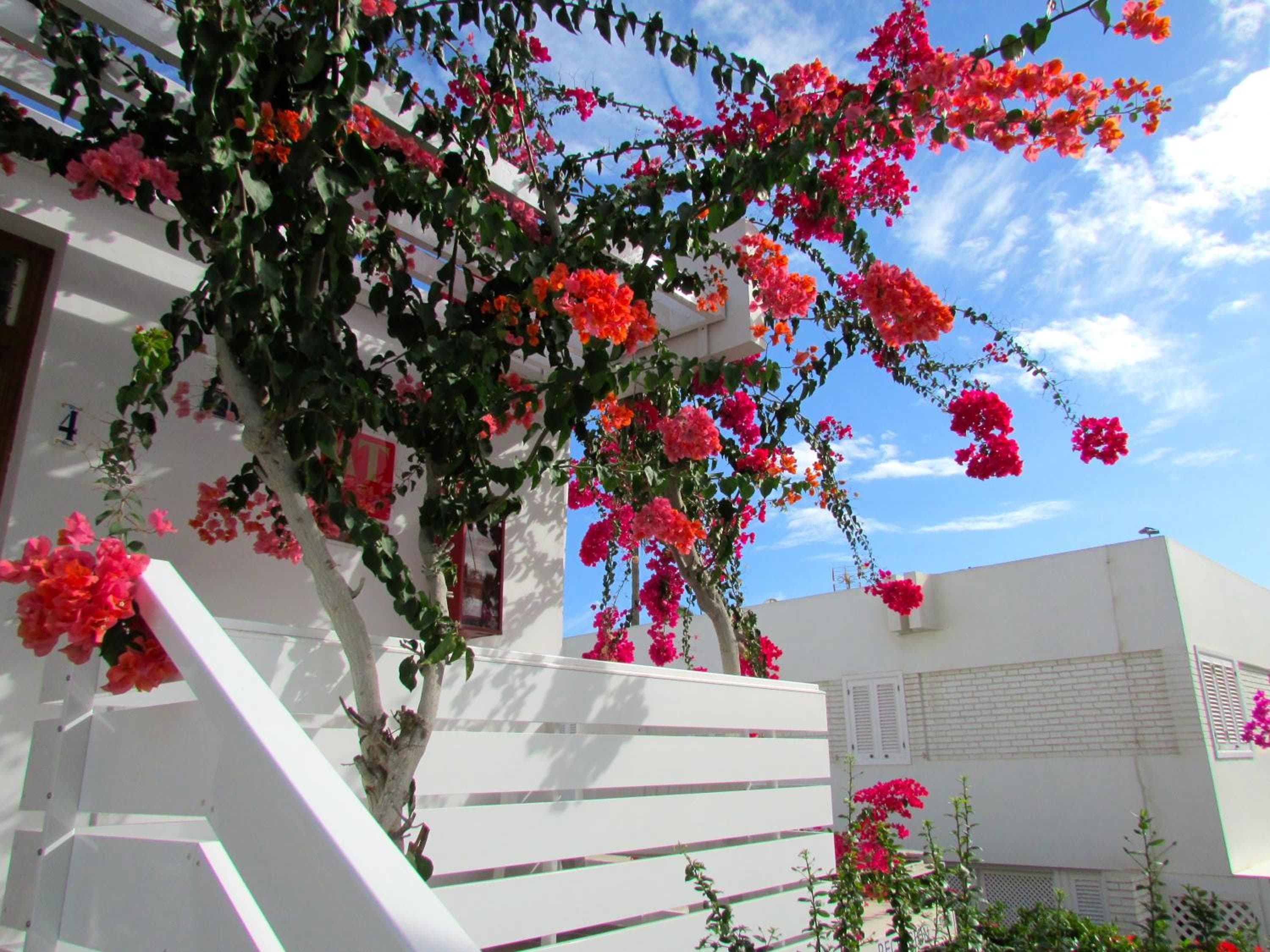 Apartamentos El Capricho — 3