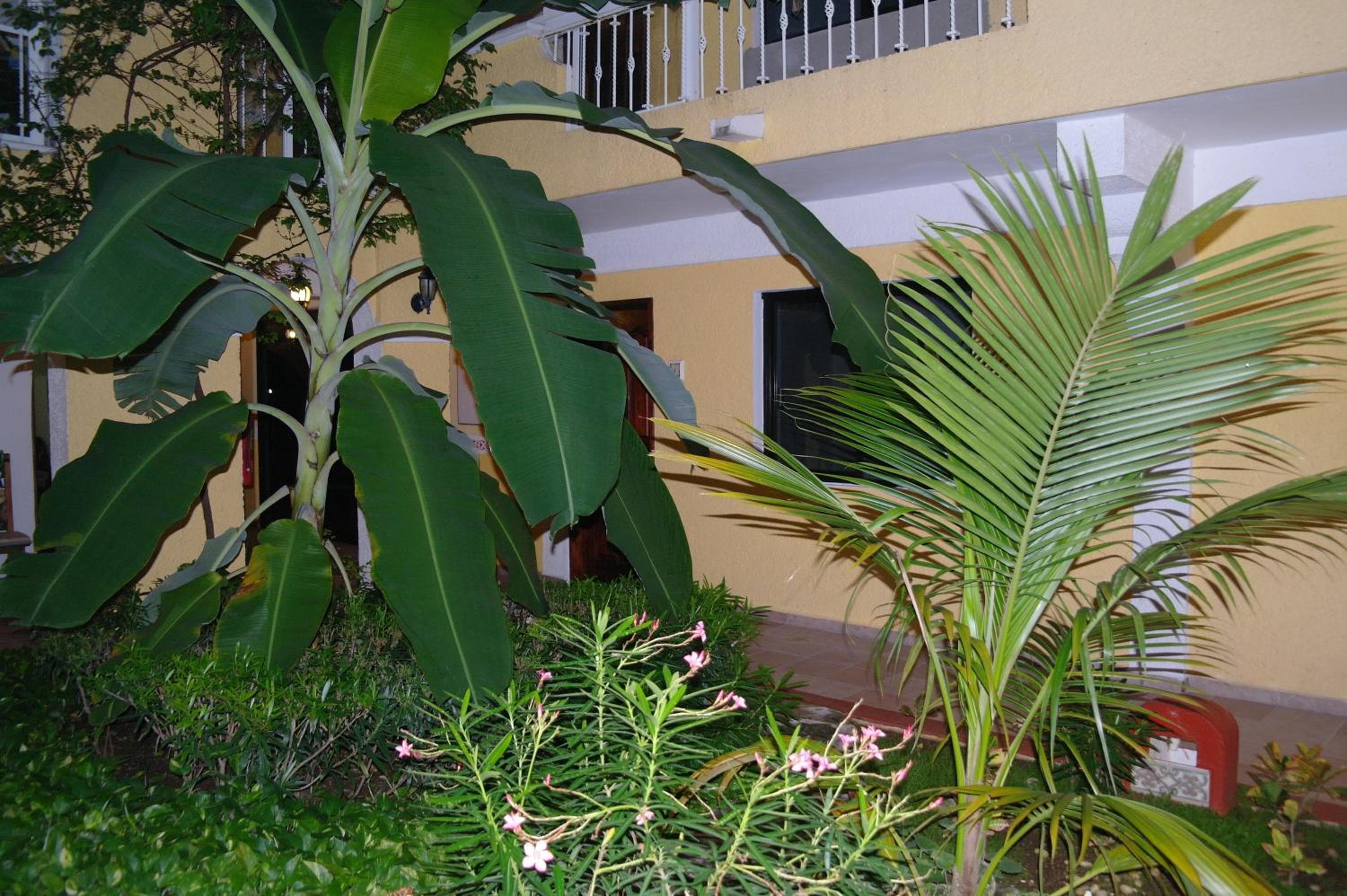 Hotel Real Del Mayab — 30