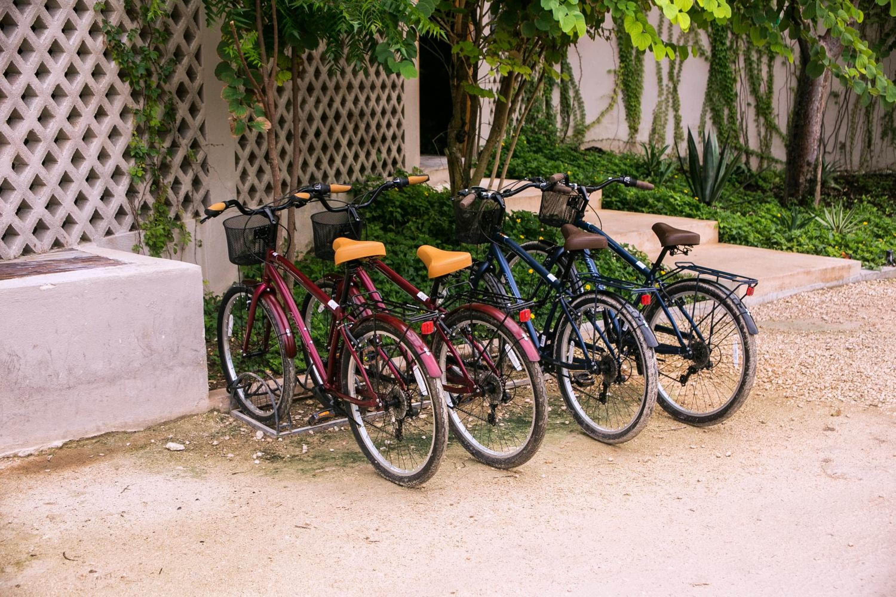 Alea Tulum — 25