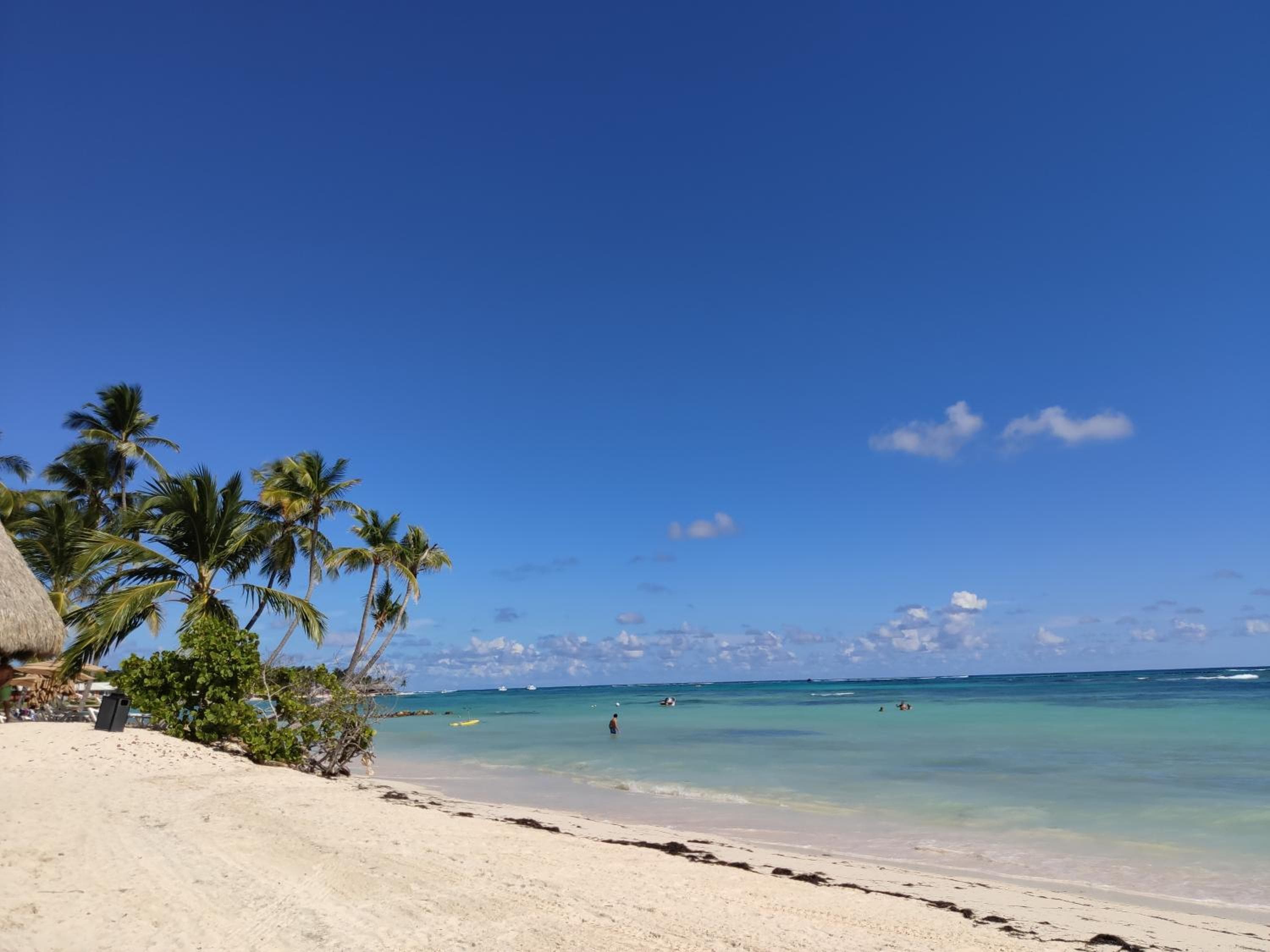 Bavaro Green — 22